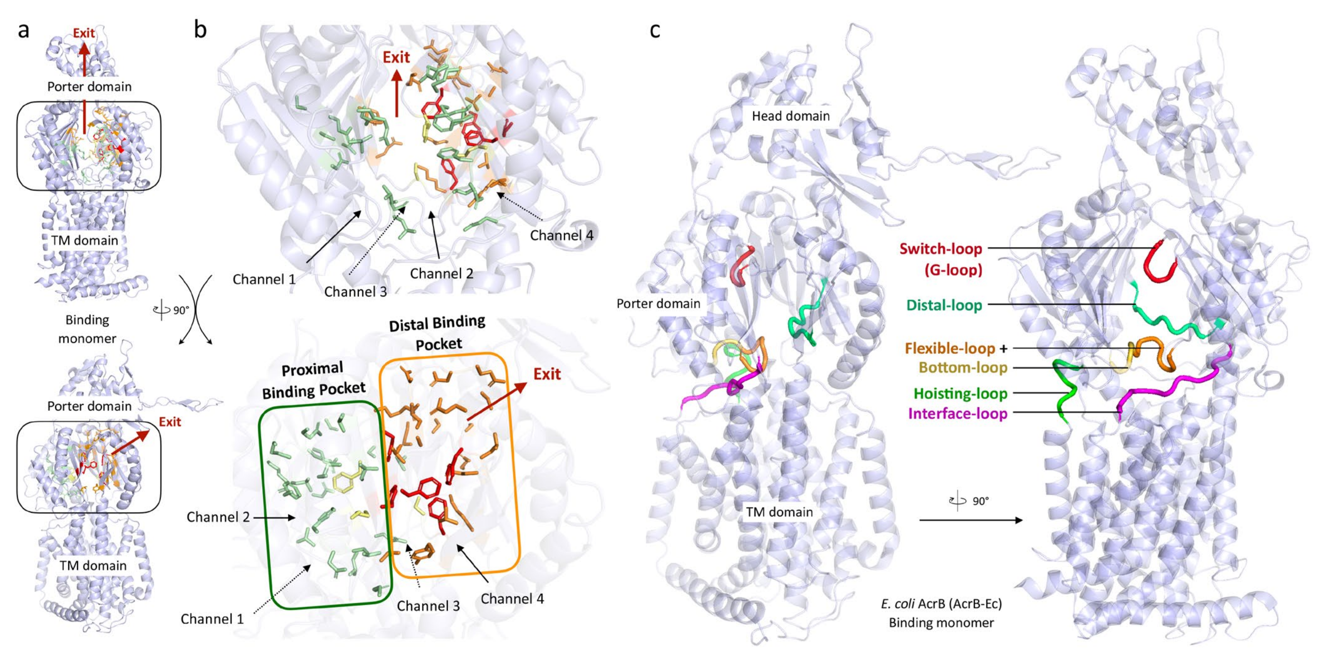 Antibiotics 10 00774 g002