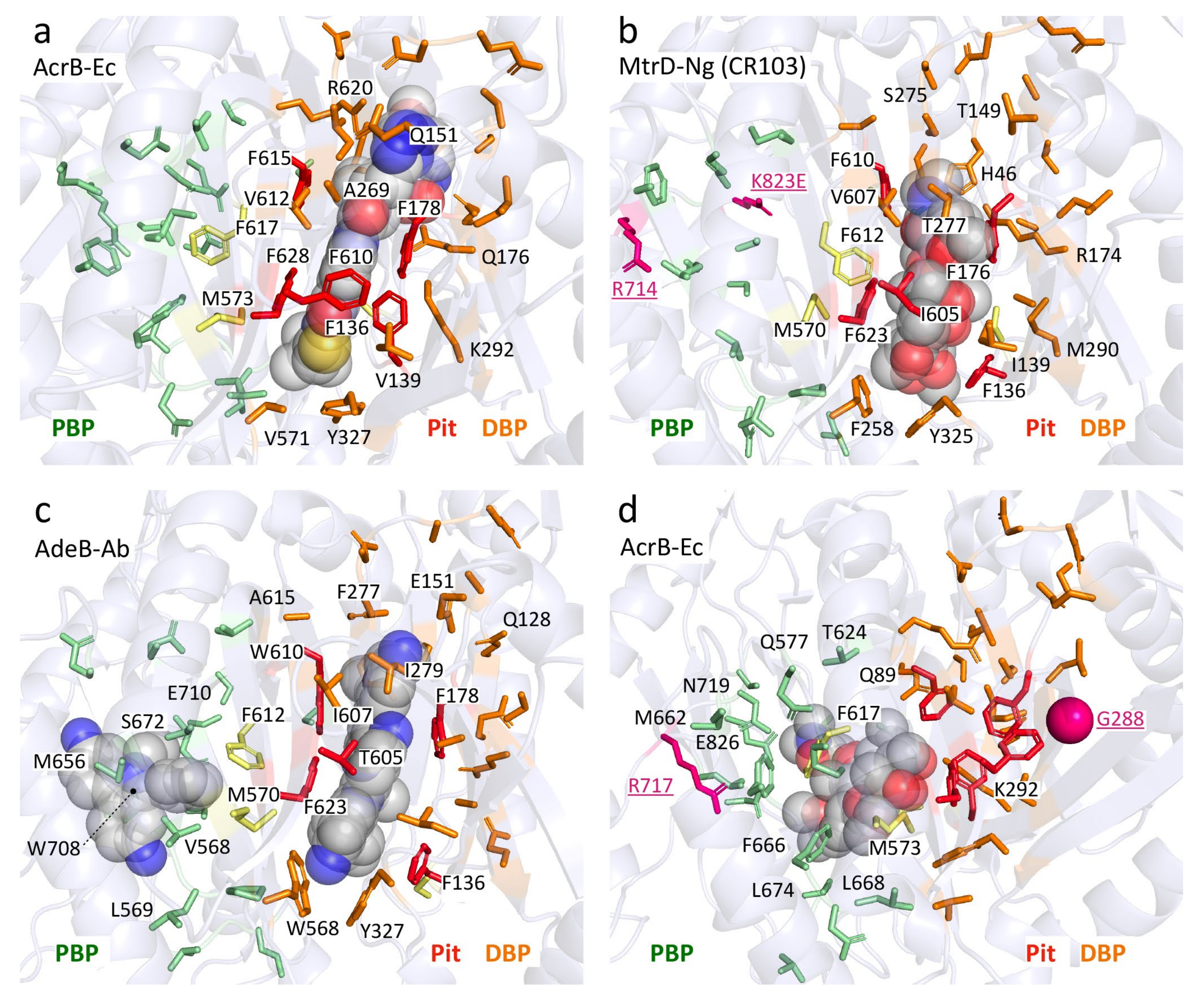 Antibiotics 10 00774 g004