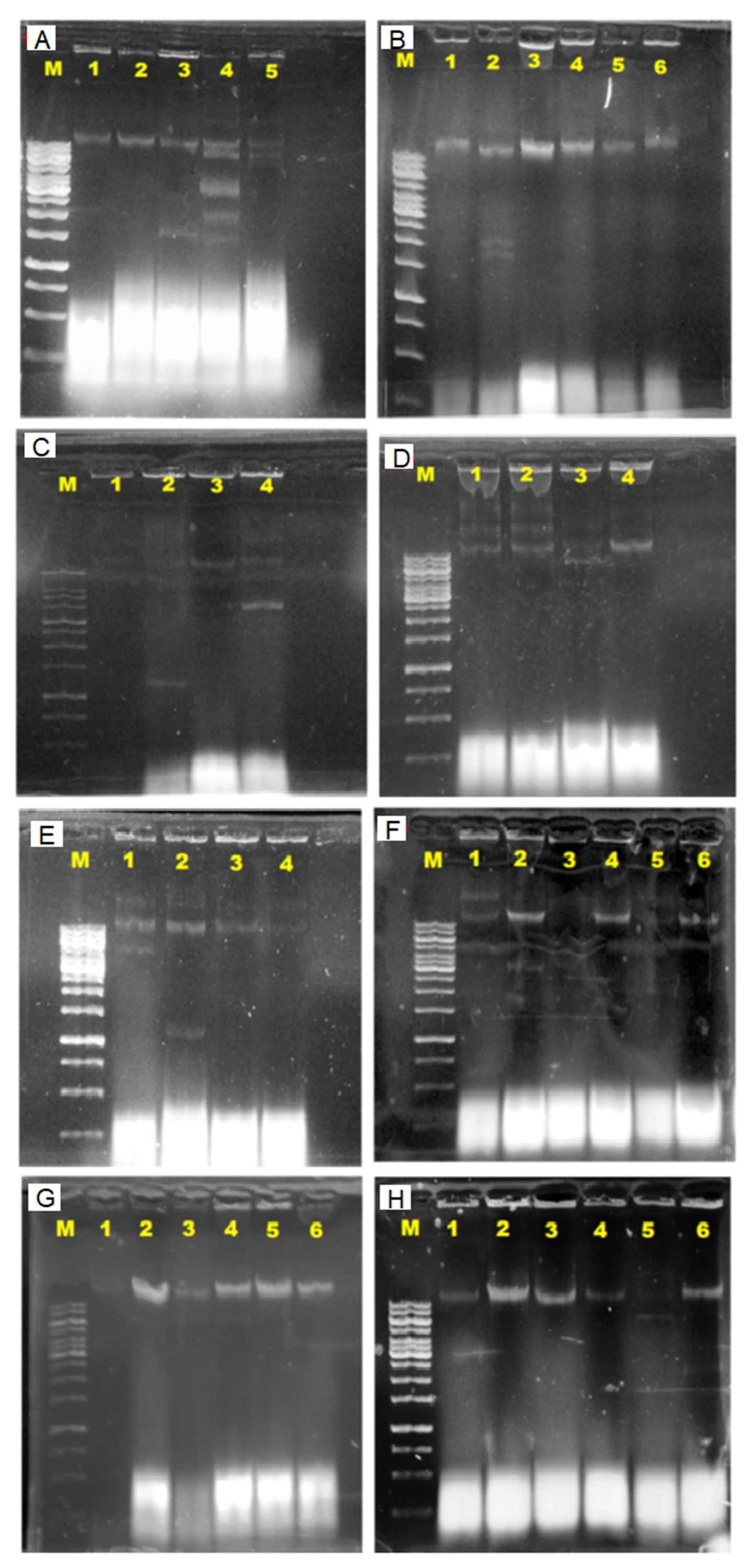 Antibiotics 10 00776 g006