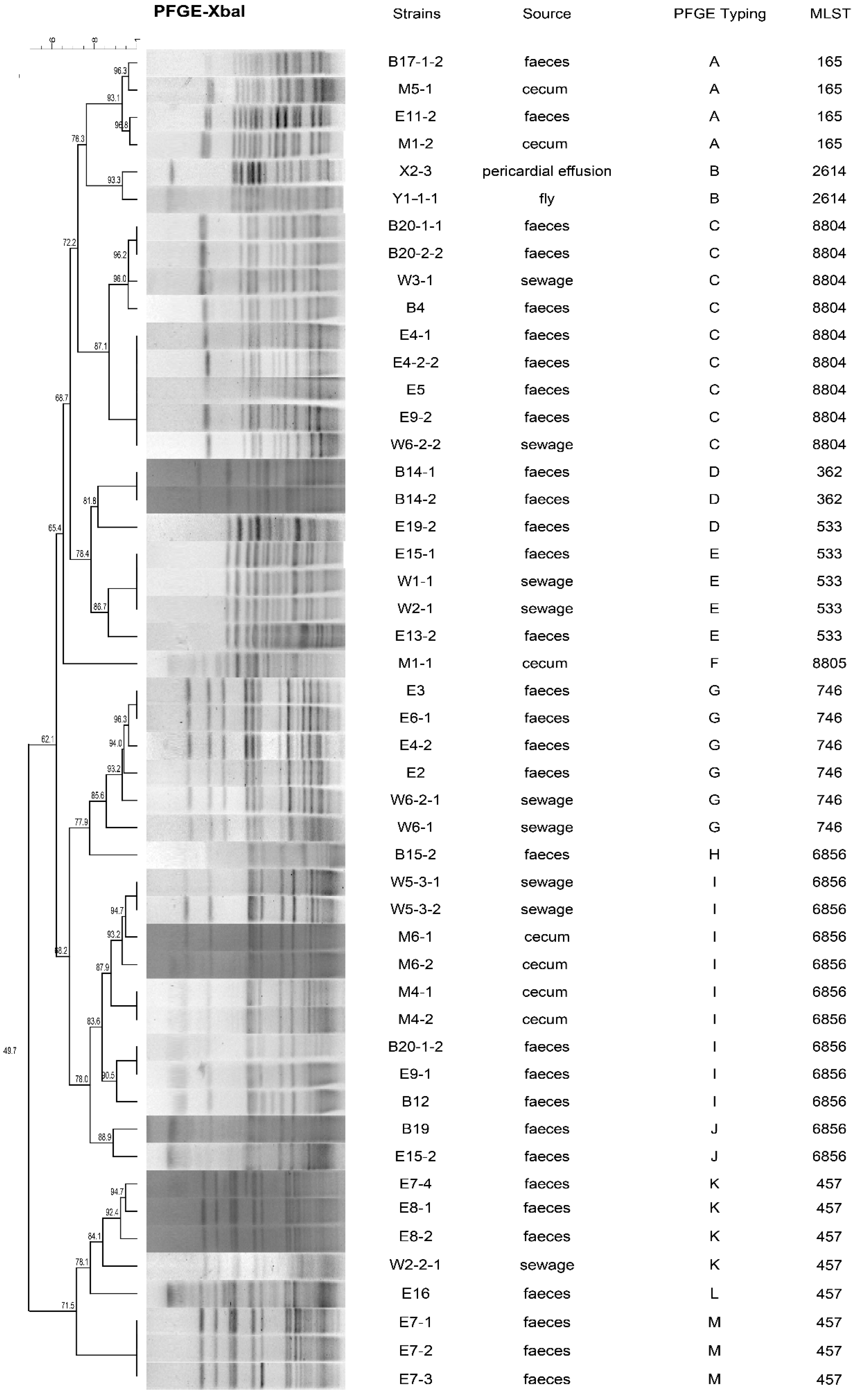 Antibiotics 10 00777 g001