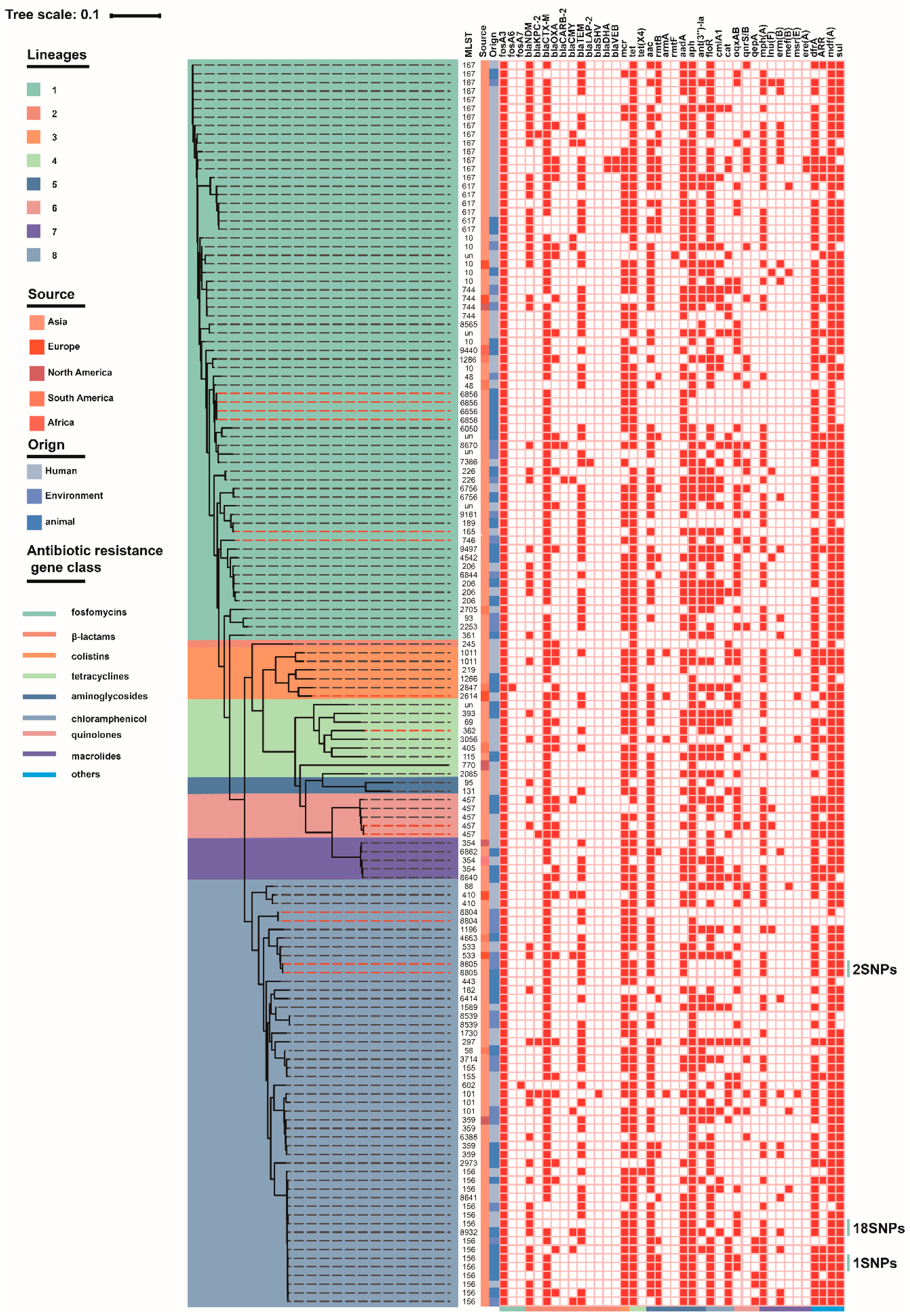 Antibiotics 10 00777 g002