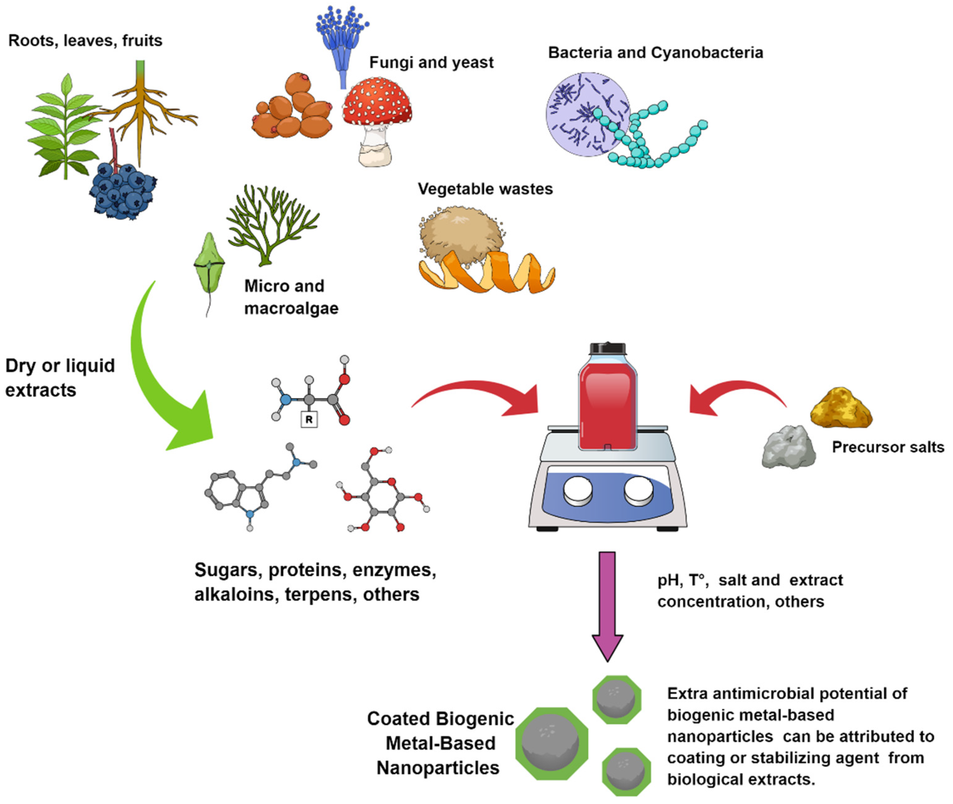 Antibiotics Free Full Text Bactericidal And Virucidal Activities Of Biogenic Metal Based Nanoparticles Advances And Perspectives Html Antibiotics Free Full Text Bactericidal And Virucidal Activities Of Biogenic Metal Based Nanoparticles Advances And Perspectives Html