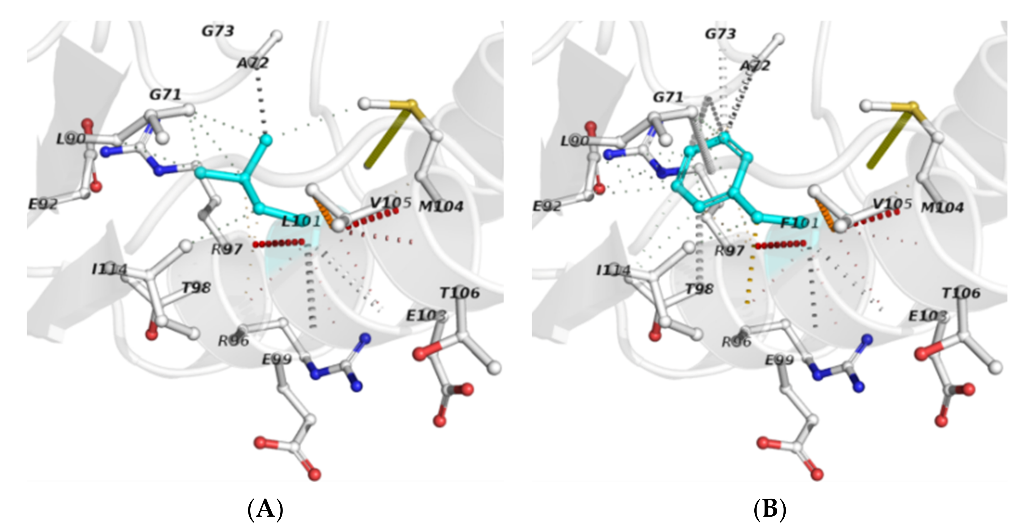 Antibiotics 10 00807 g002