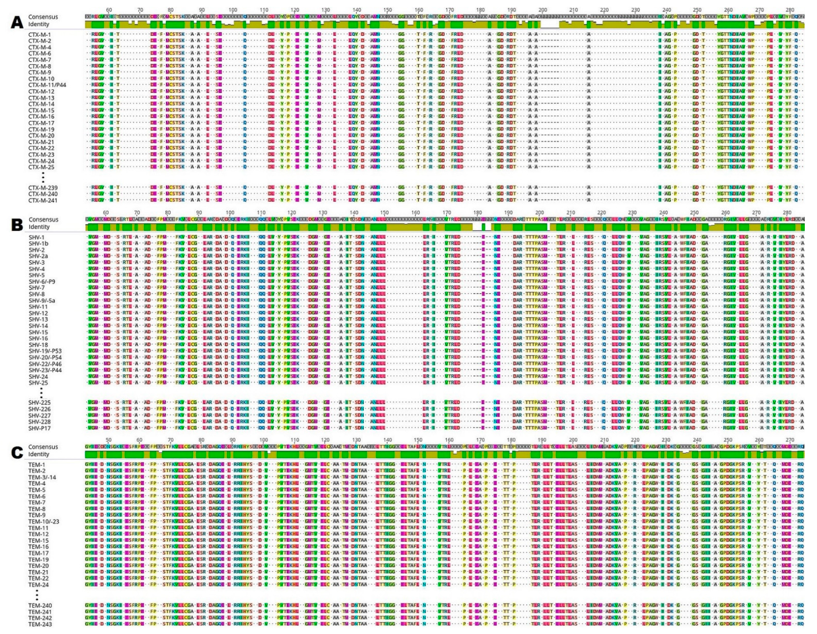 Antibiotics 10 00812 g001 Antibiotics 10 00812 g001