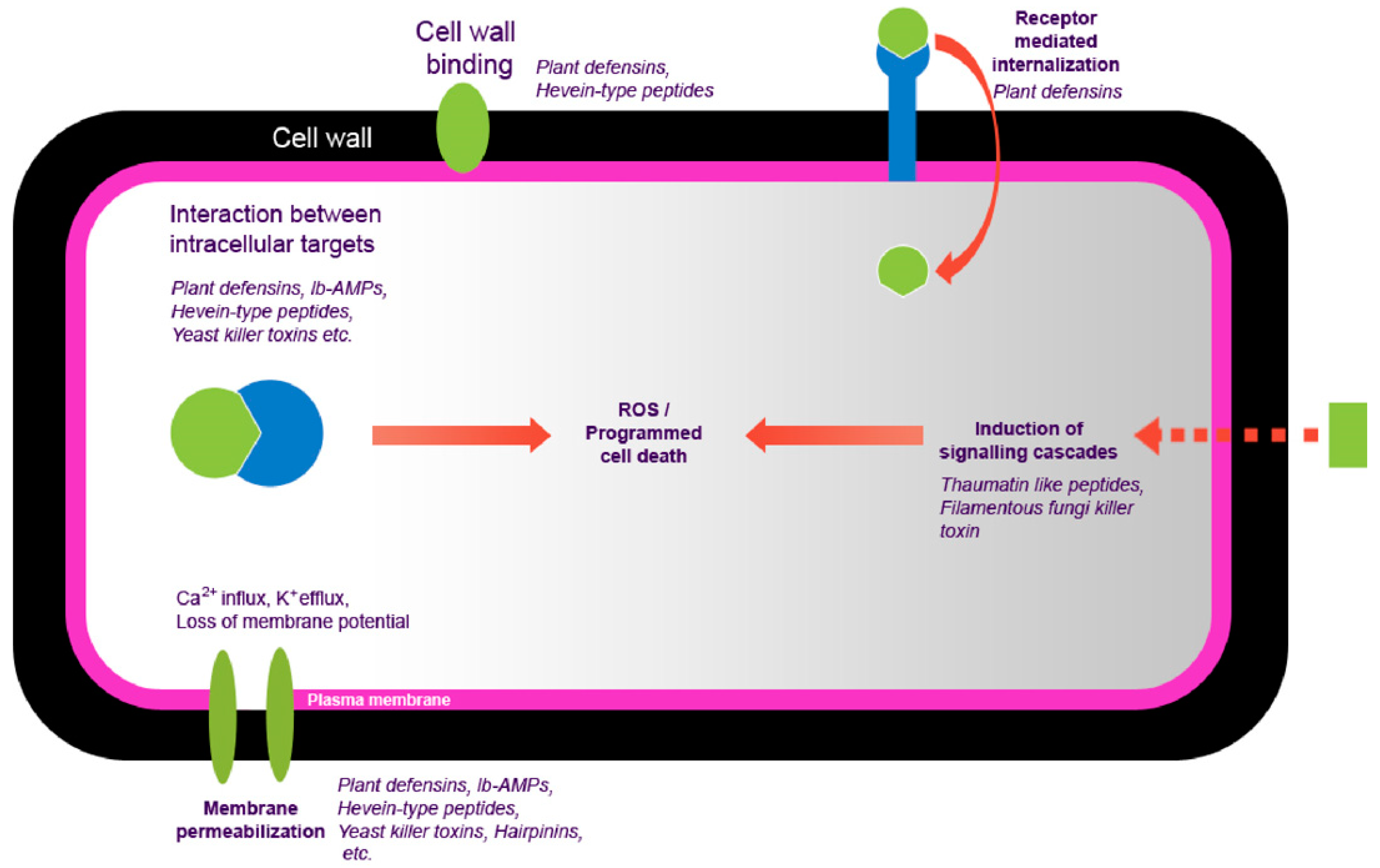 Antibiotics 10 00815 g001