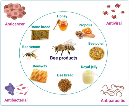 About Bee Seasonal, Ethical Honey Brands