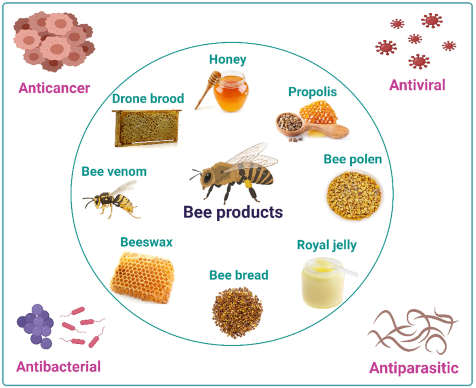 IV. Honey and Hive Products as Natural Remedies