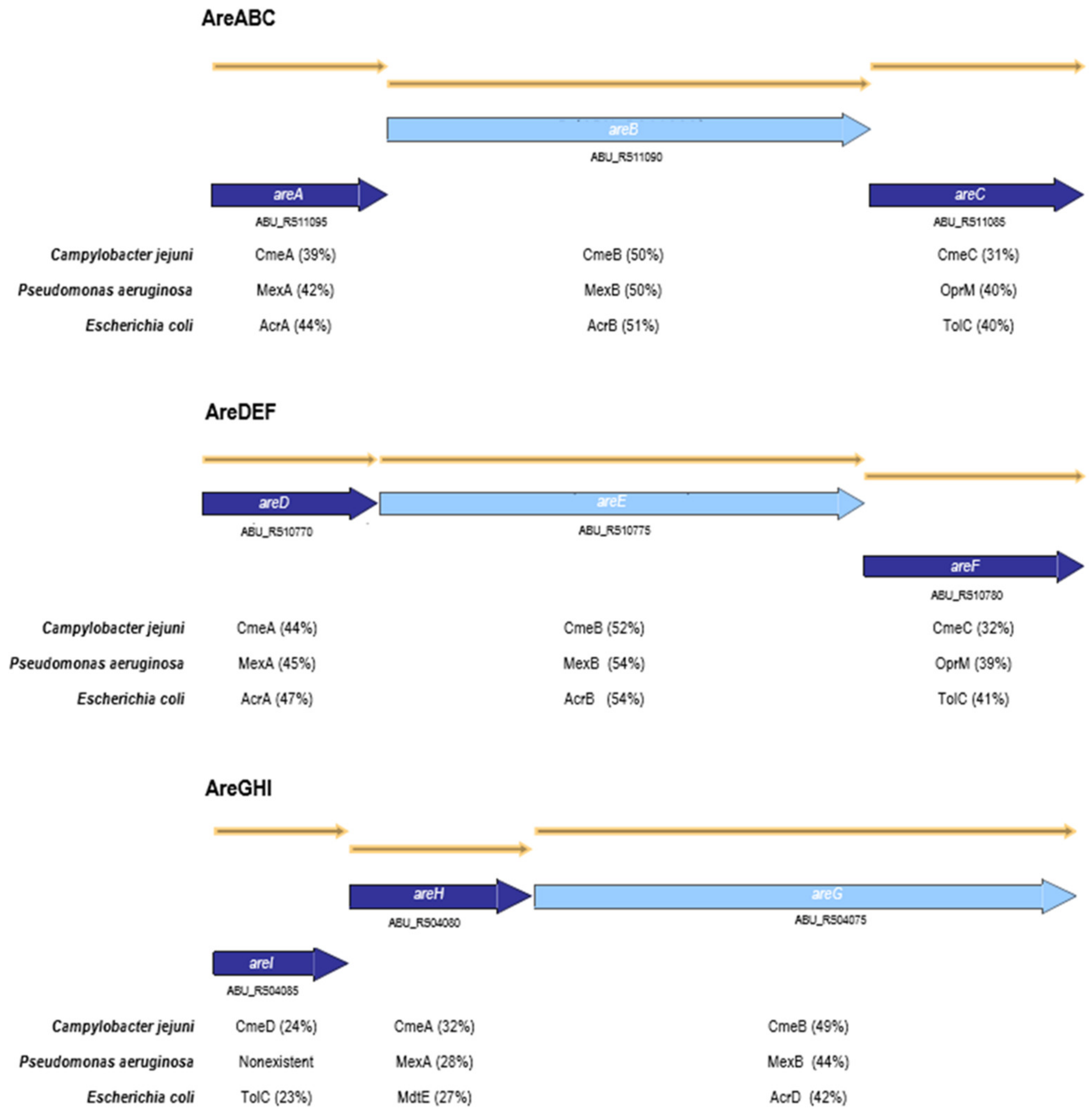 Antibiotics 10 00823 g001 550