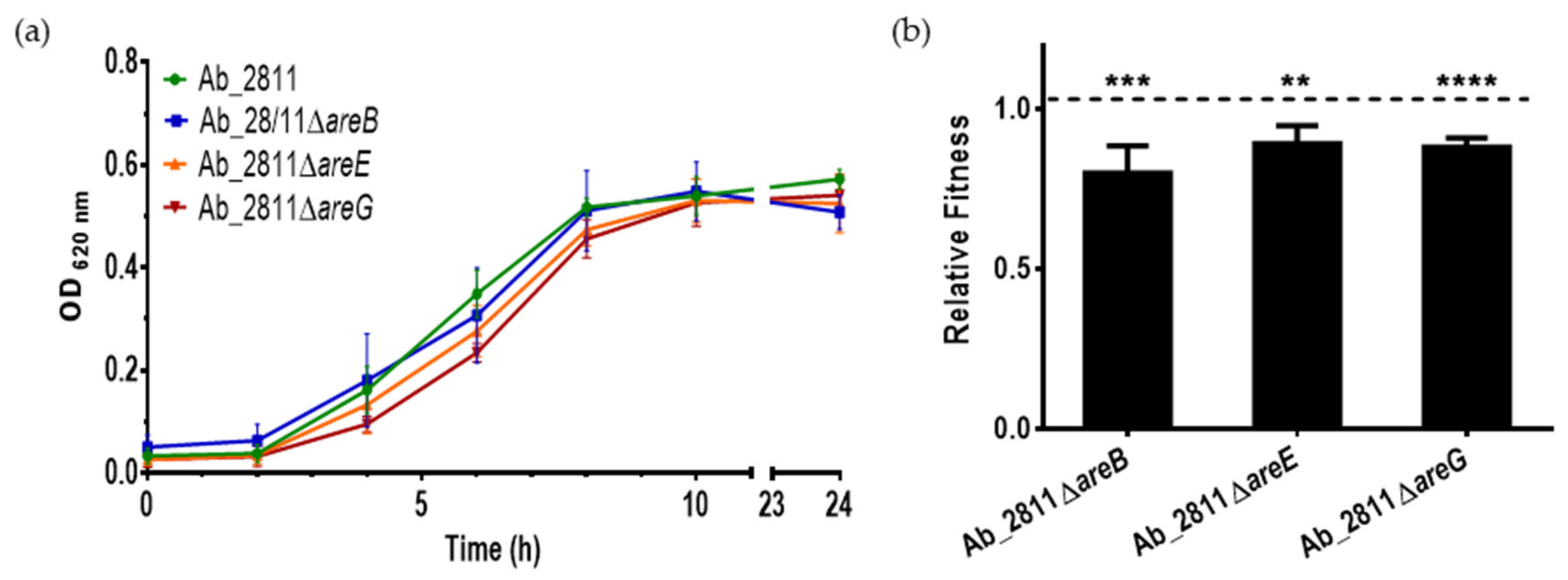 Antibiotics 10 00823 g003 550