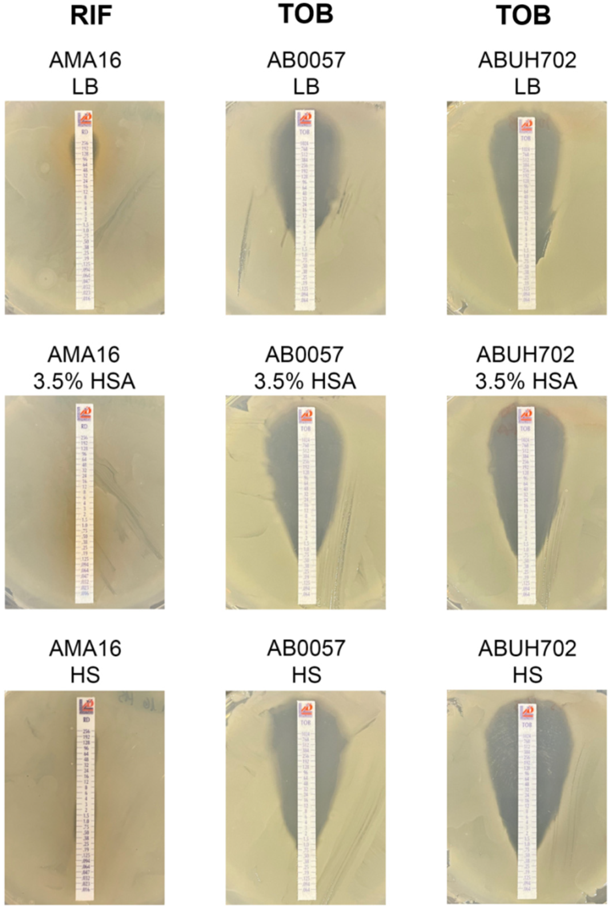 Antibiotics 10 00833 g003 550