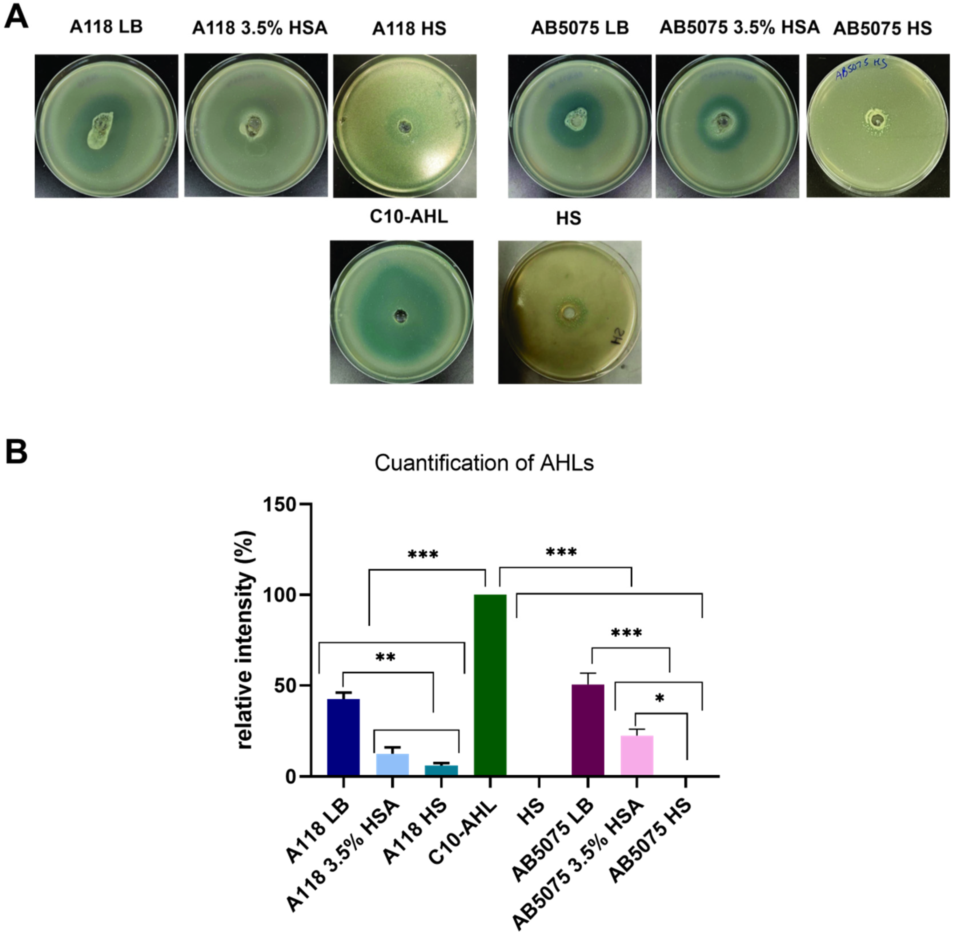 Antibiotics 10 00833 g007 550