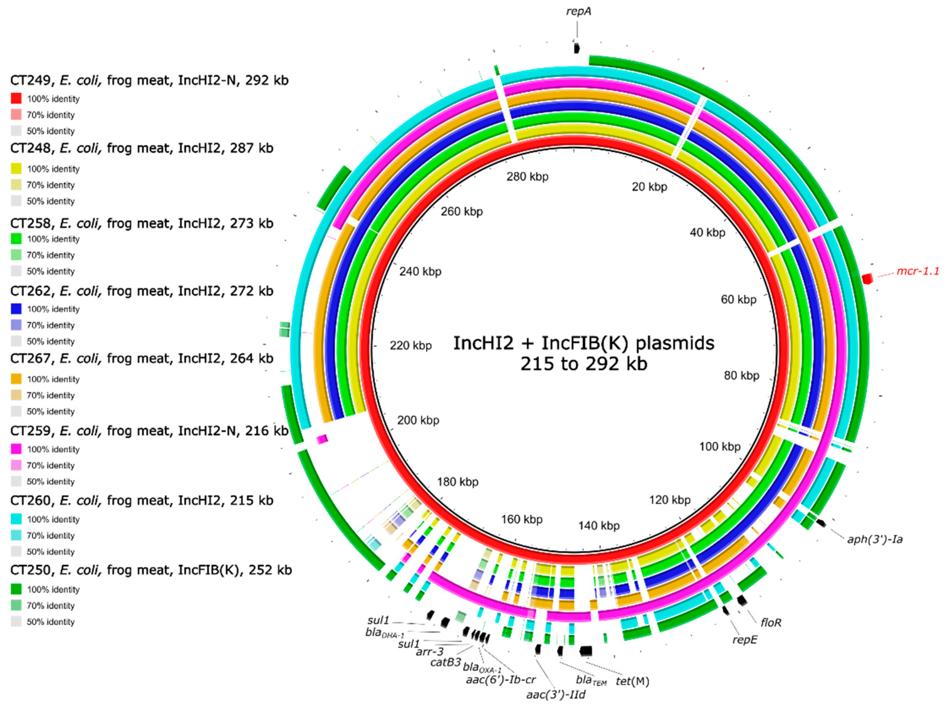 Antibiotics 10 00838 g001