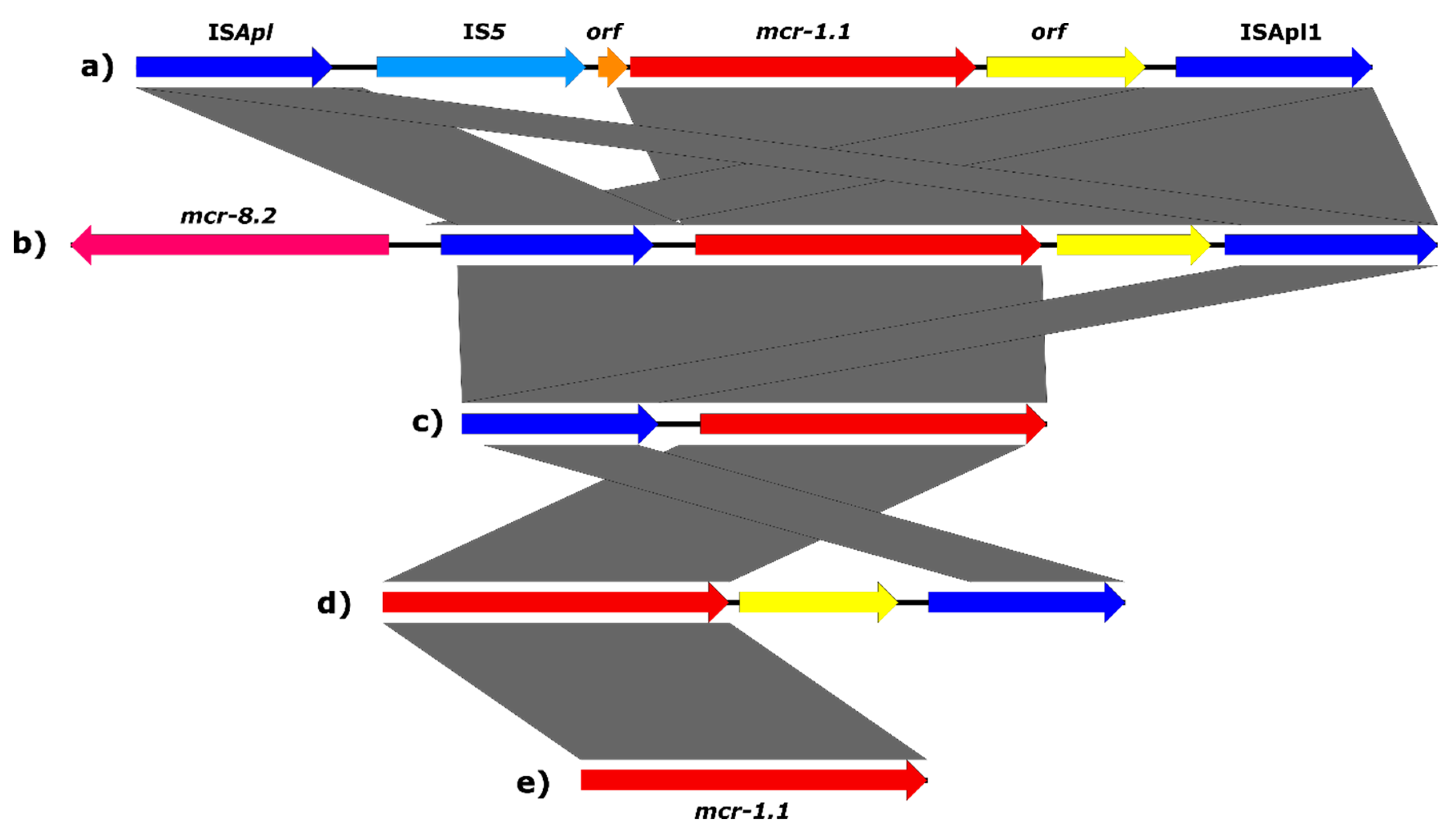 Antibiotics 10 00838 g002
