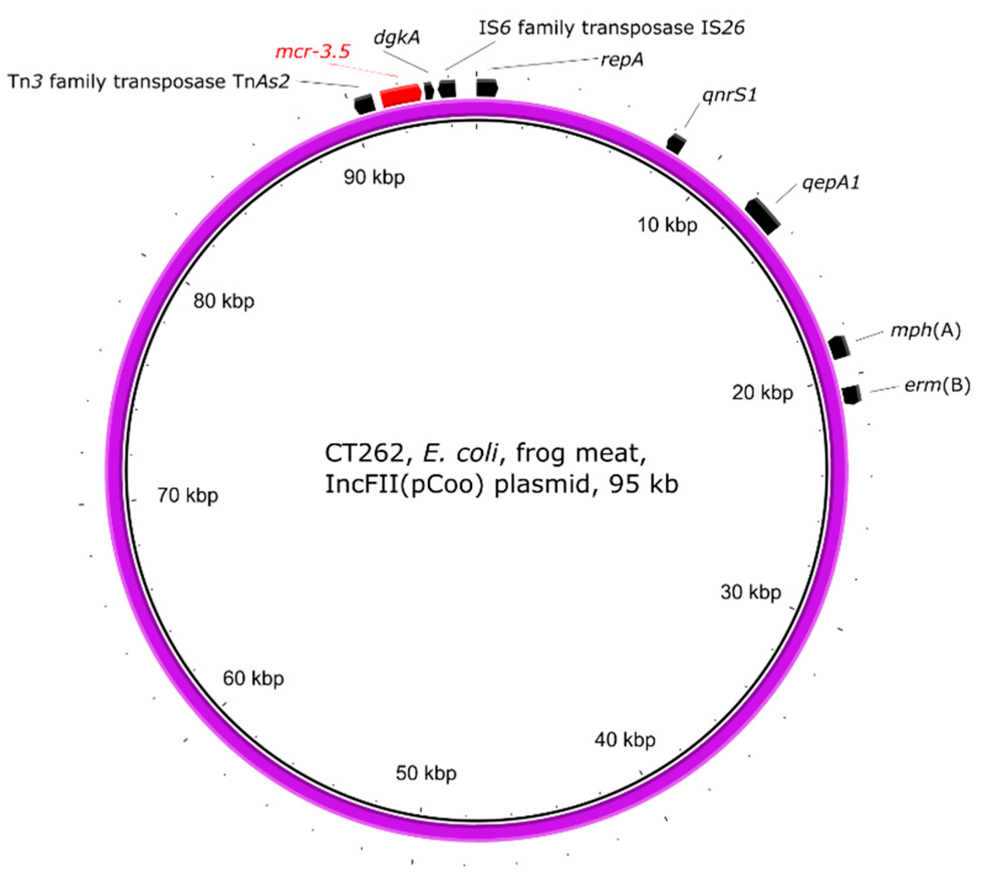 Antibiotics 10 00838 g003