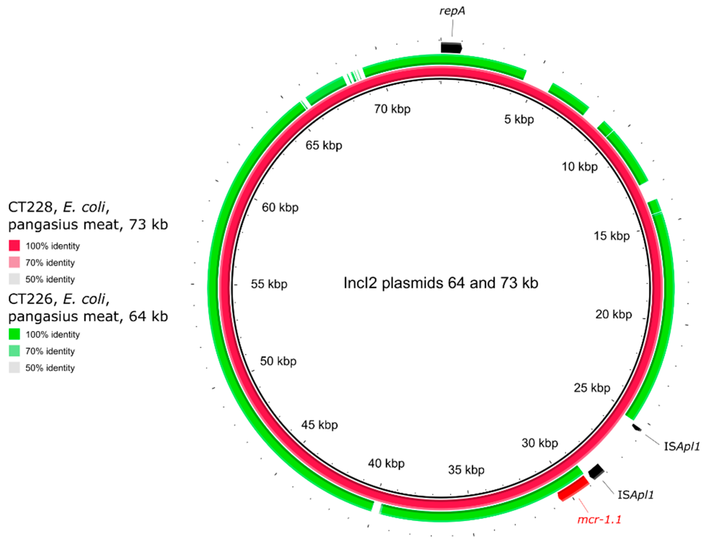 Antibiotics 10 00838 g004