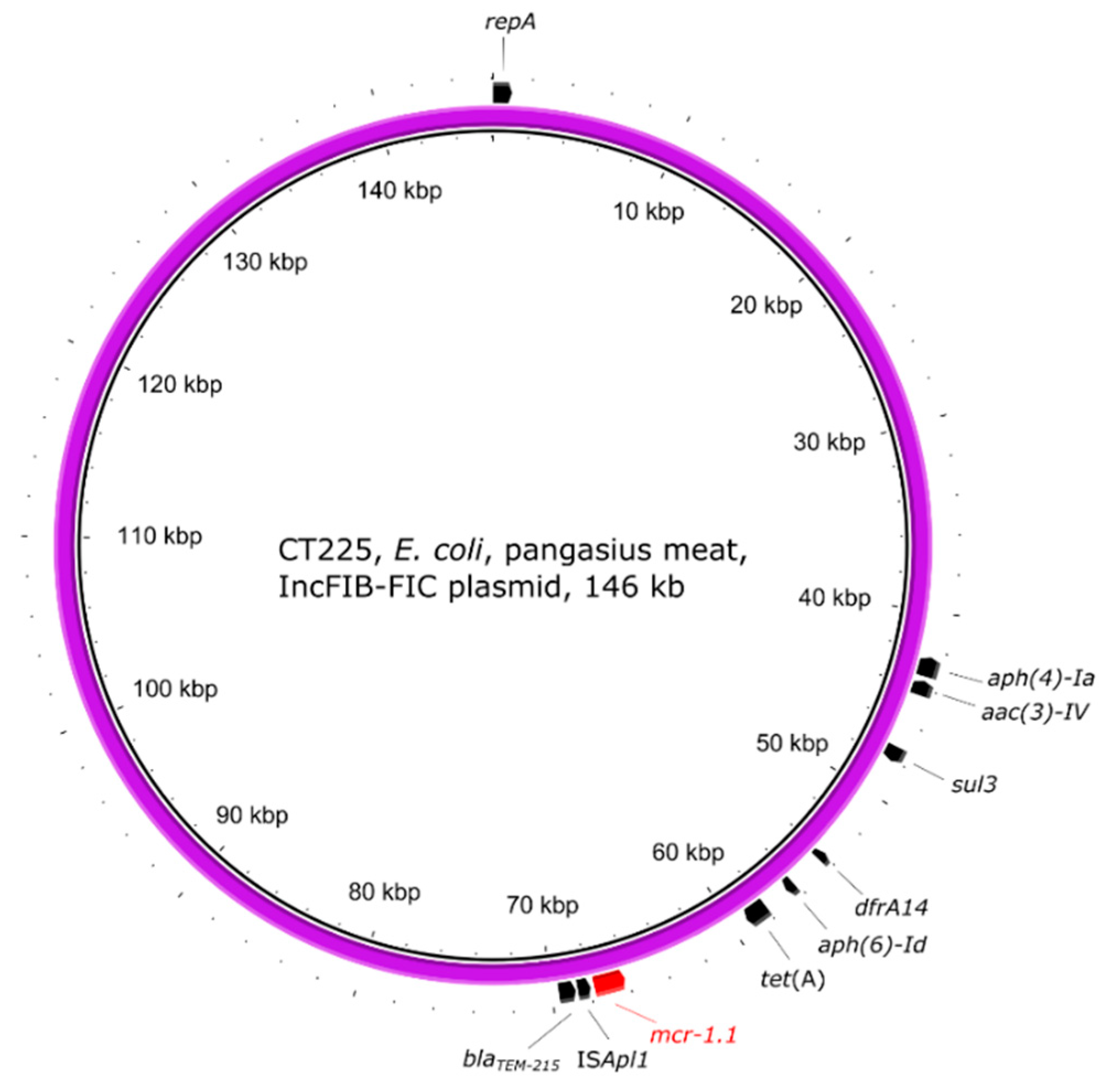 Antibiotics 10 00838 g006
