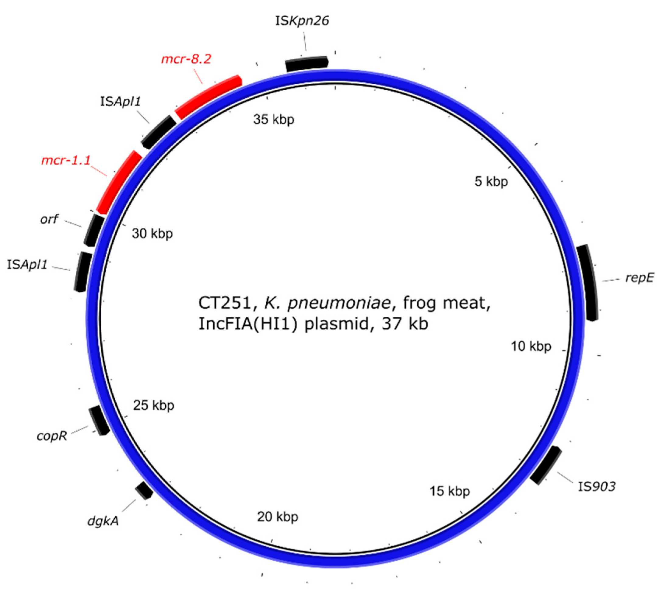 Antibiotics 10 00838 g009