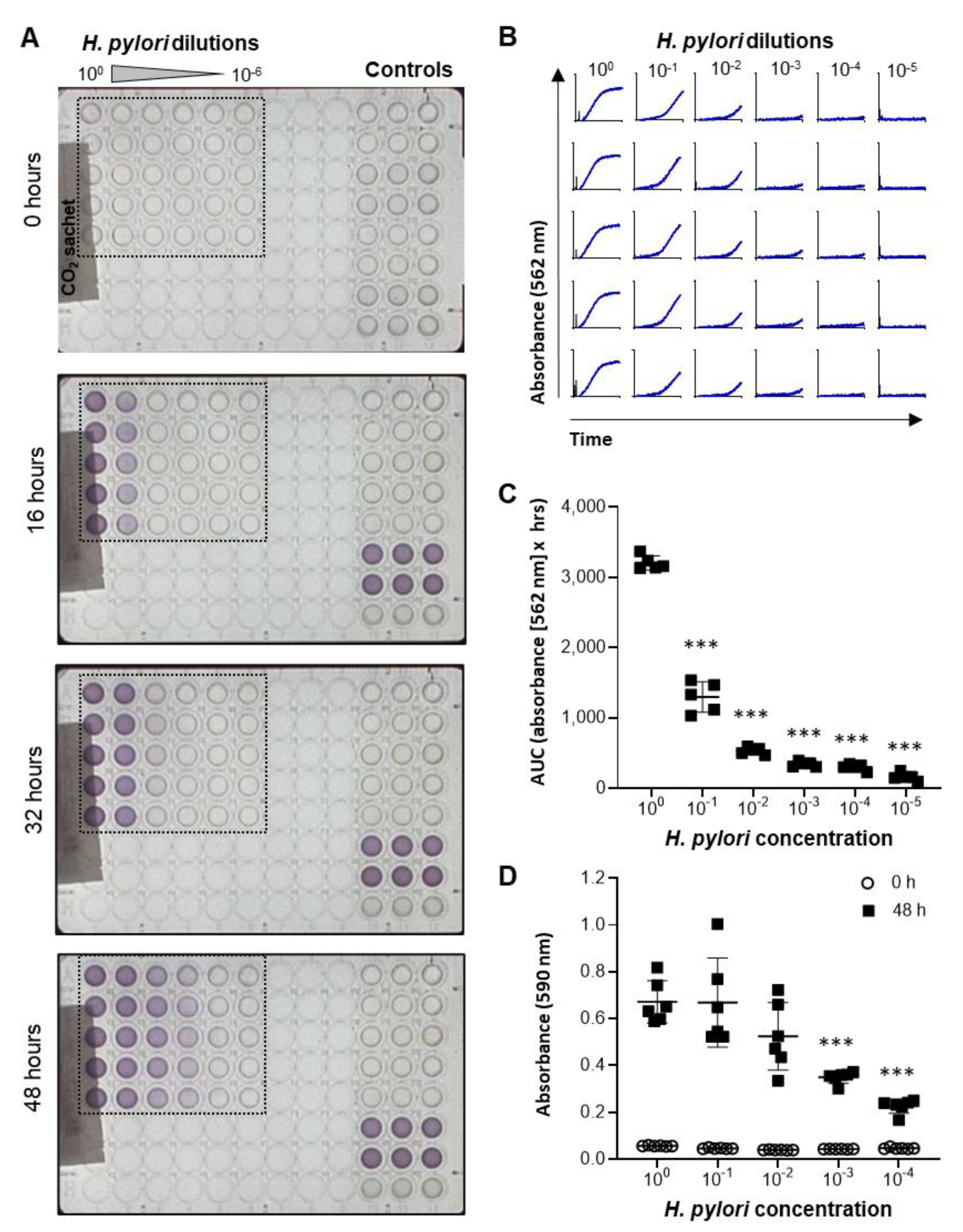 Antibiotics 10 00845 g002
