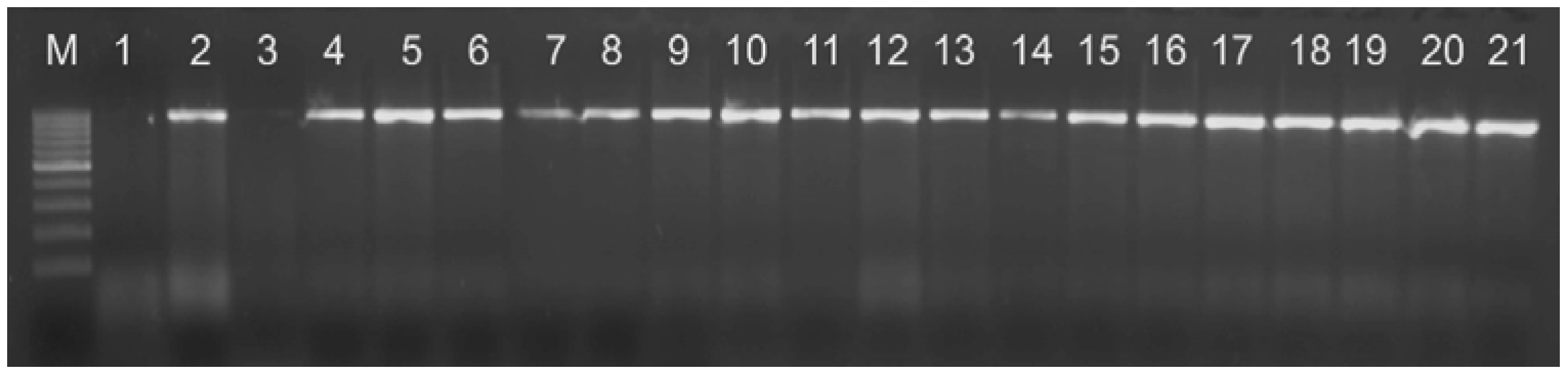 Antibiotics 10 00846 g001 550