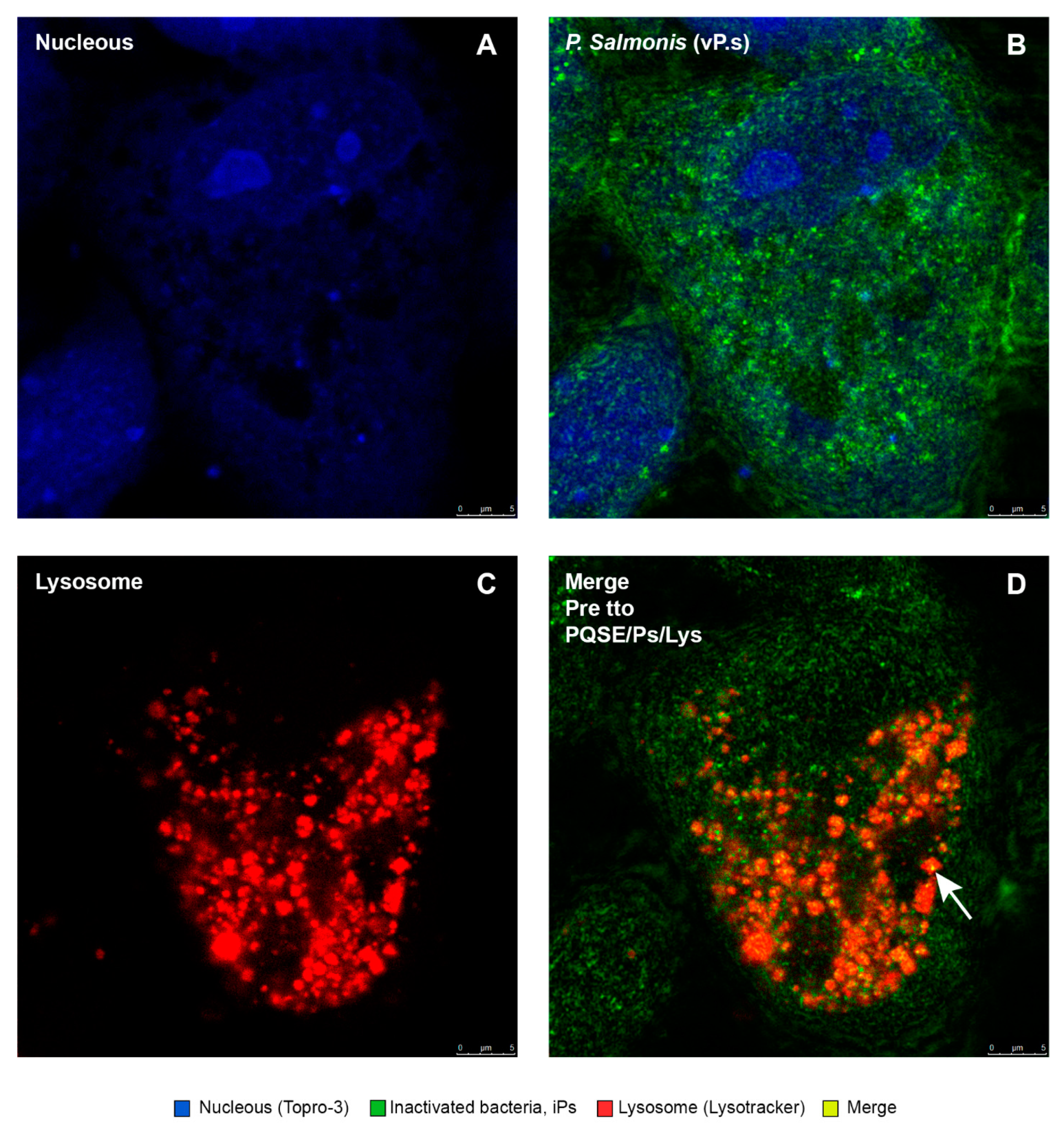 Antibiotics 10 00847 g012 Antibiotics 10 00847 g012