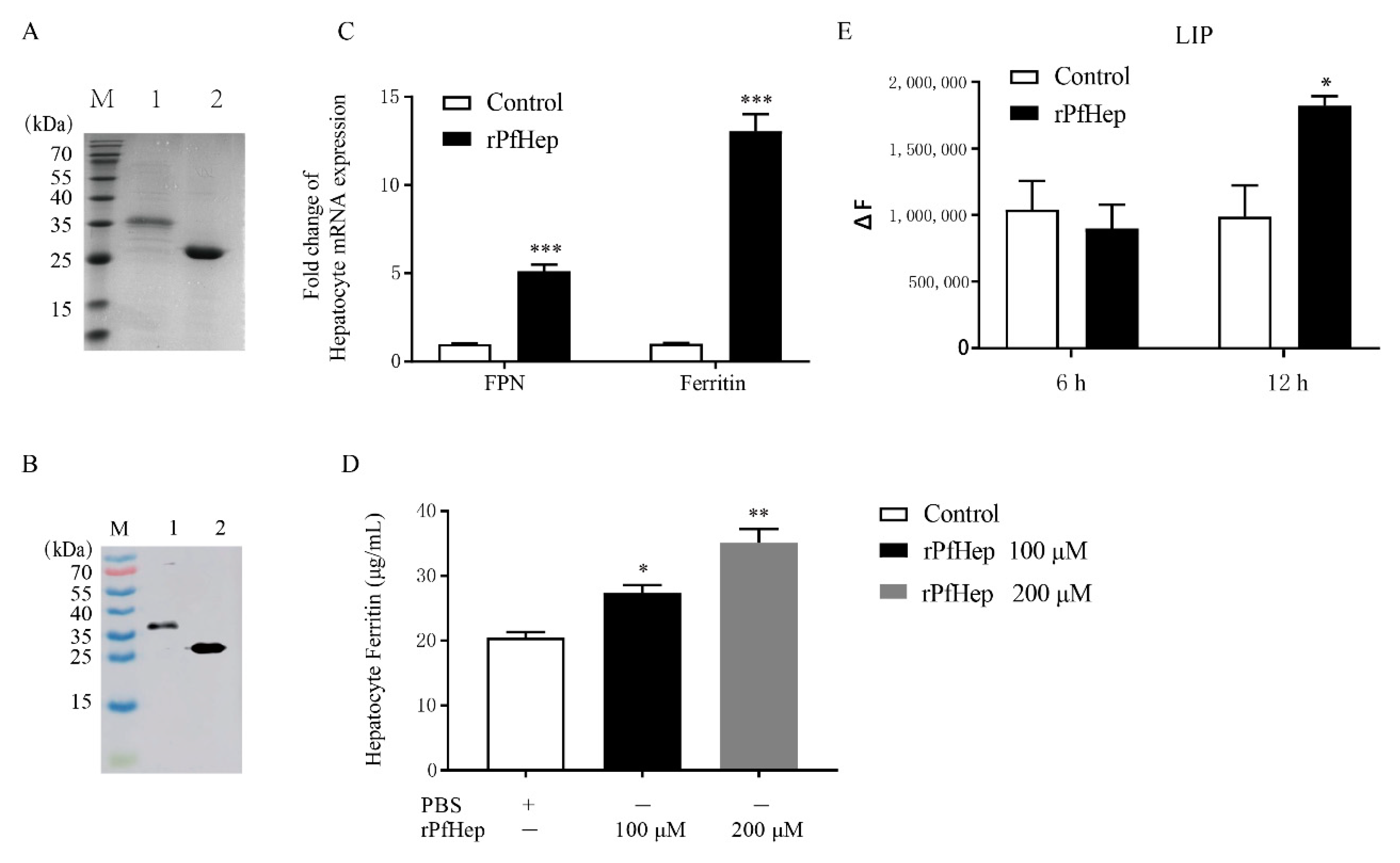 Antibiotics 10 00848 g001 Antibiotics 10 00848 g001
