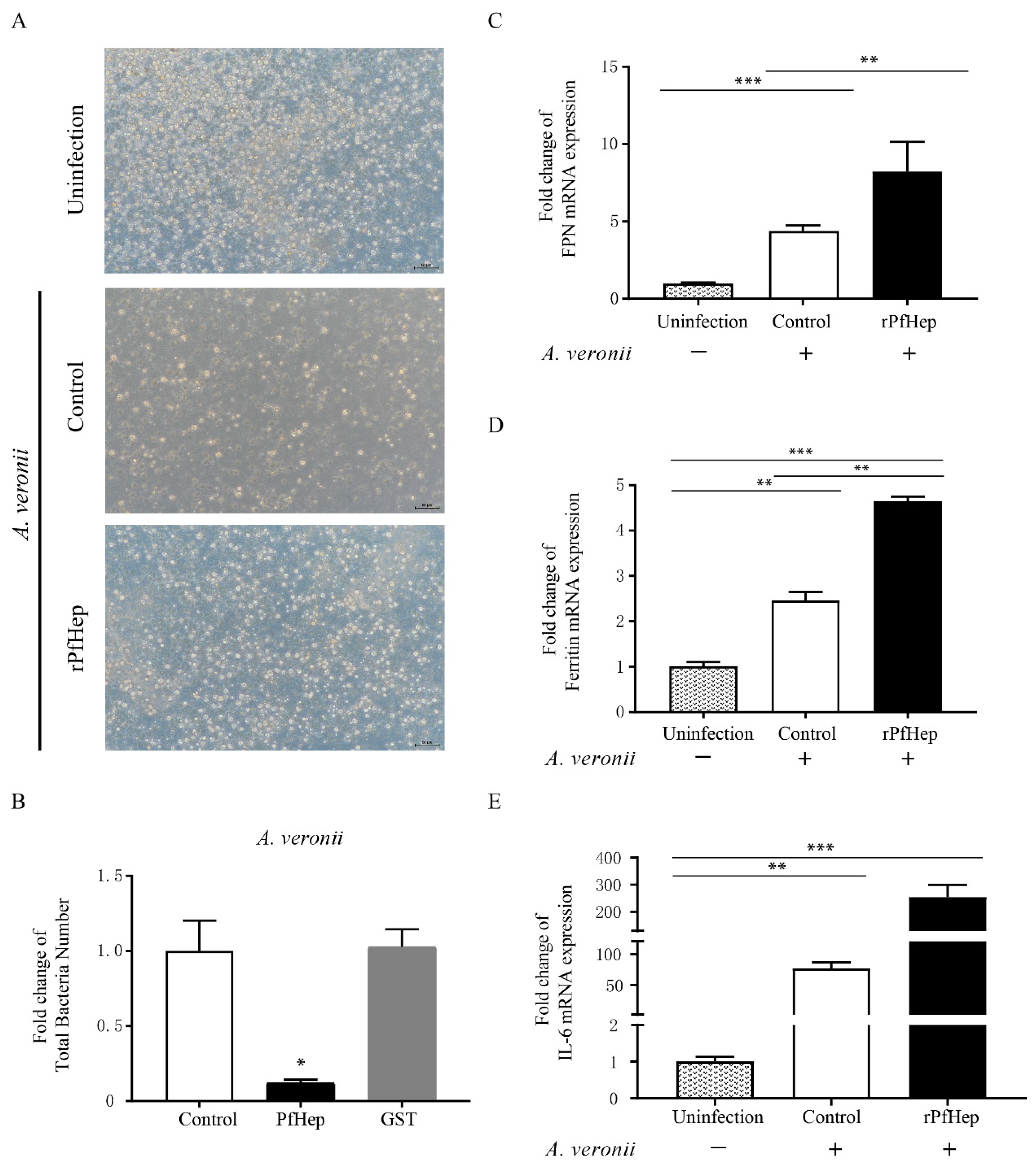 Antibiotics 10 00848 g002 Antibiotics 10 00848 g002