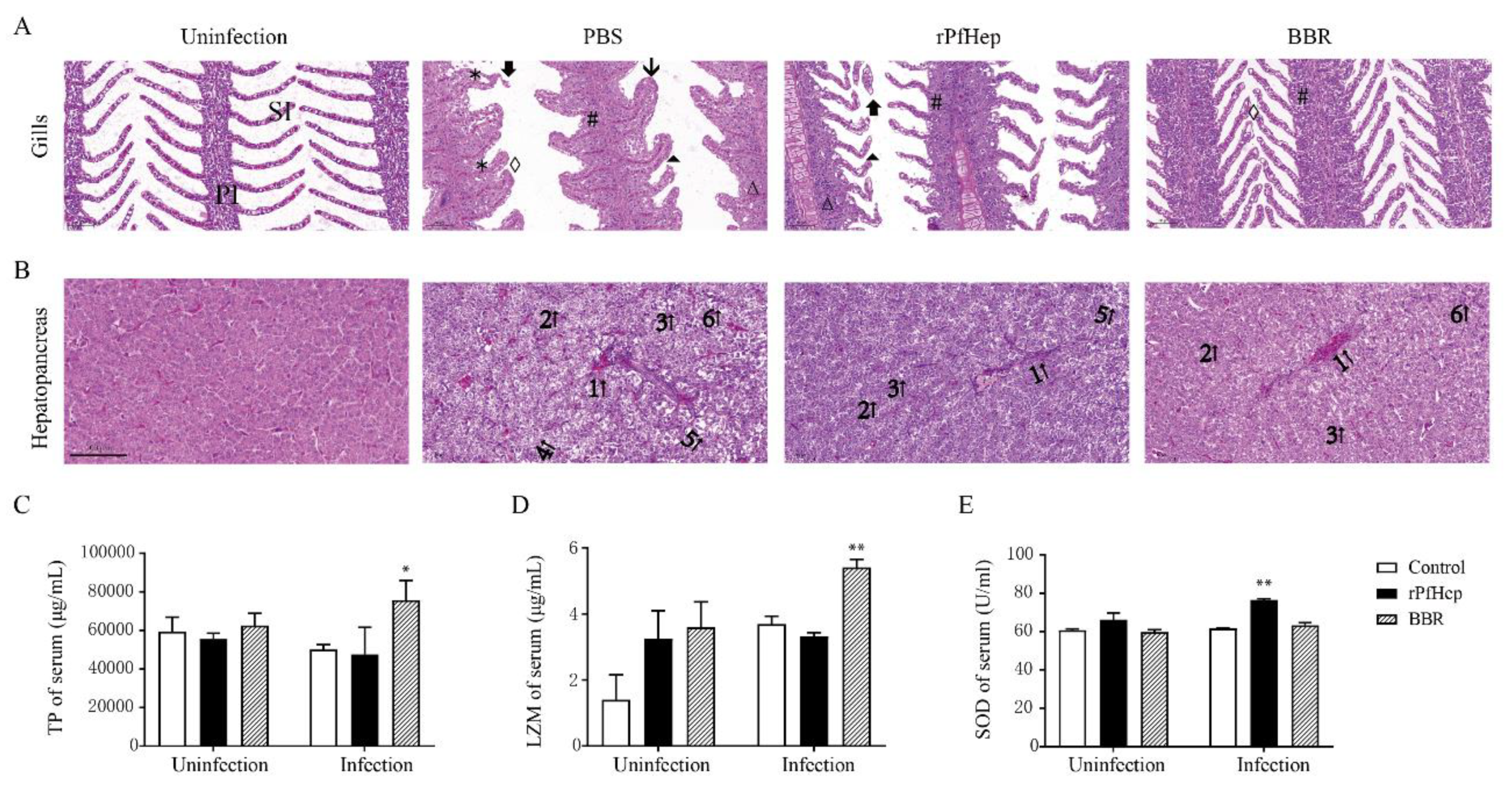 Antibiotics 10 00848 g005 Antibiotics 10 00848 g005