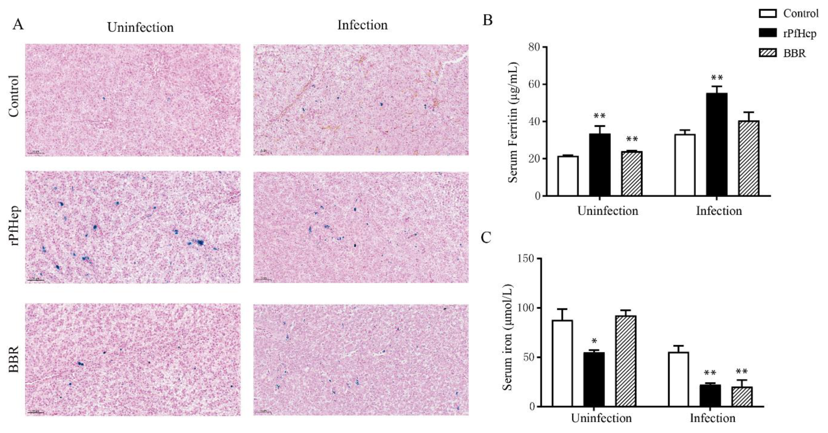 Antibiotics 10 00848 g006 Antibiotics 10 00848 g006