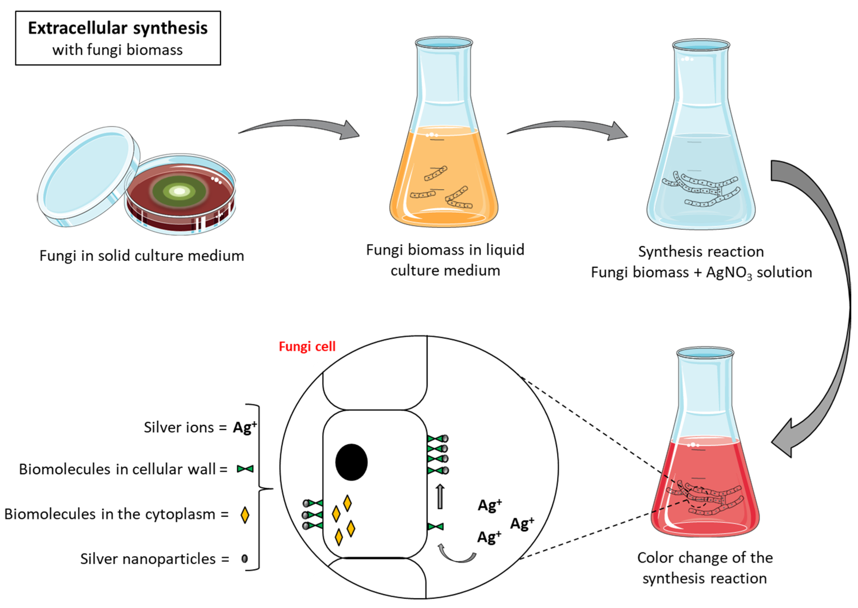 Antibiotics 10 00852 g003 550