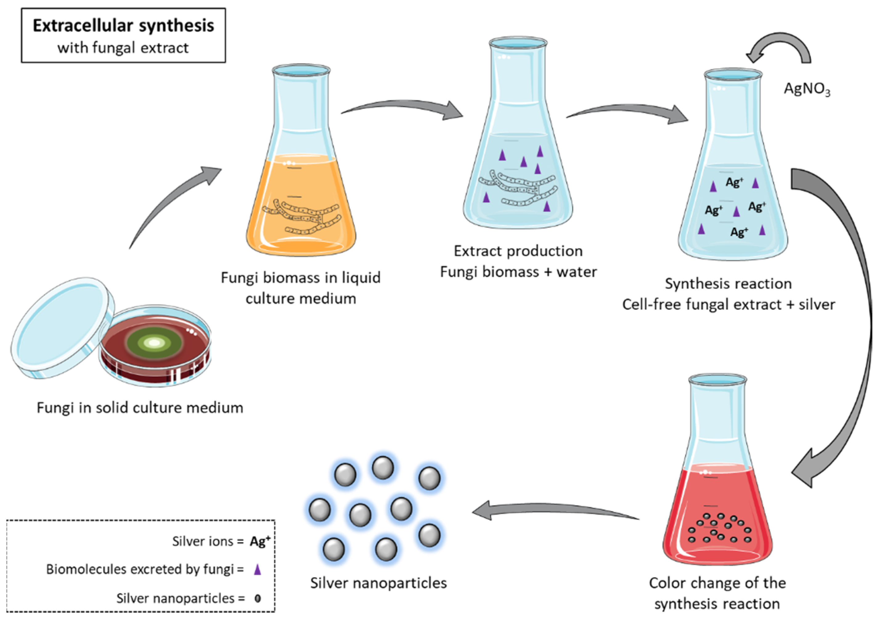 Antibiotics 10 00852 g004 550