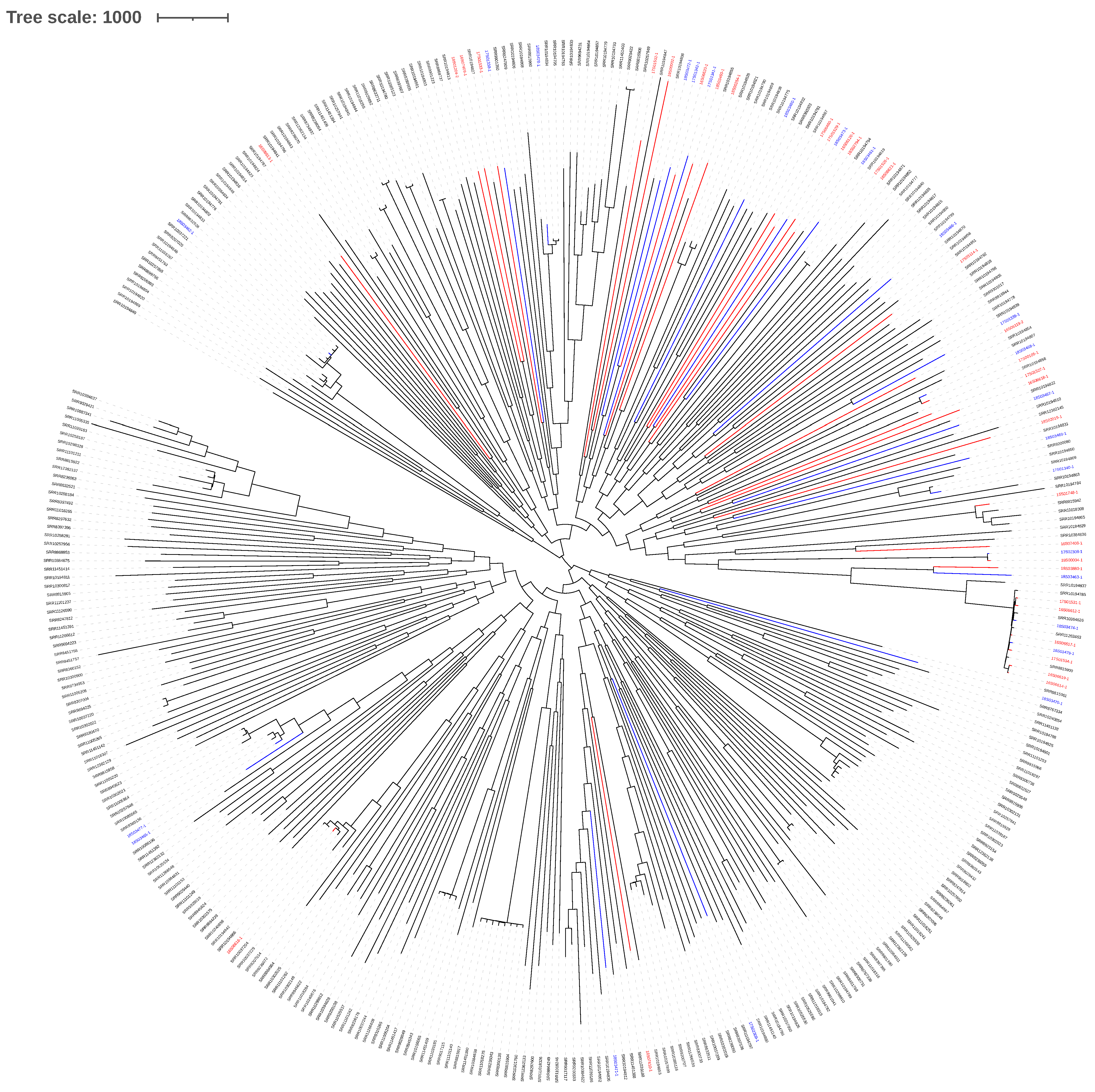 Antibiotics 10 00854 g001 550