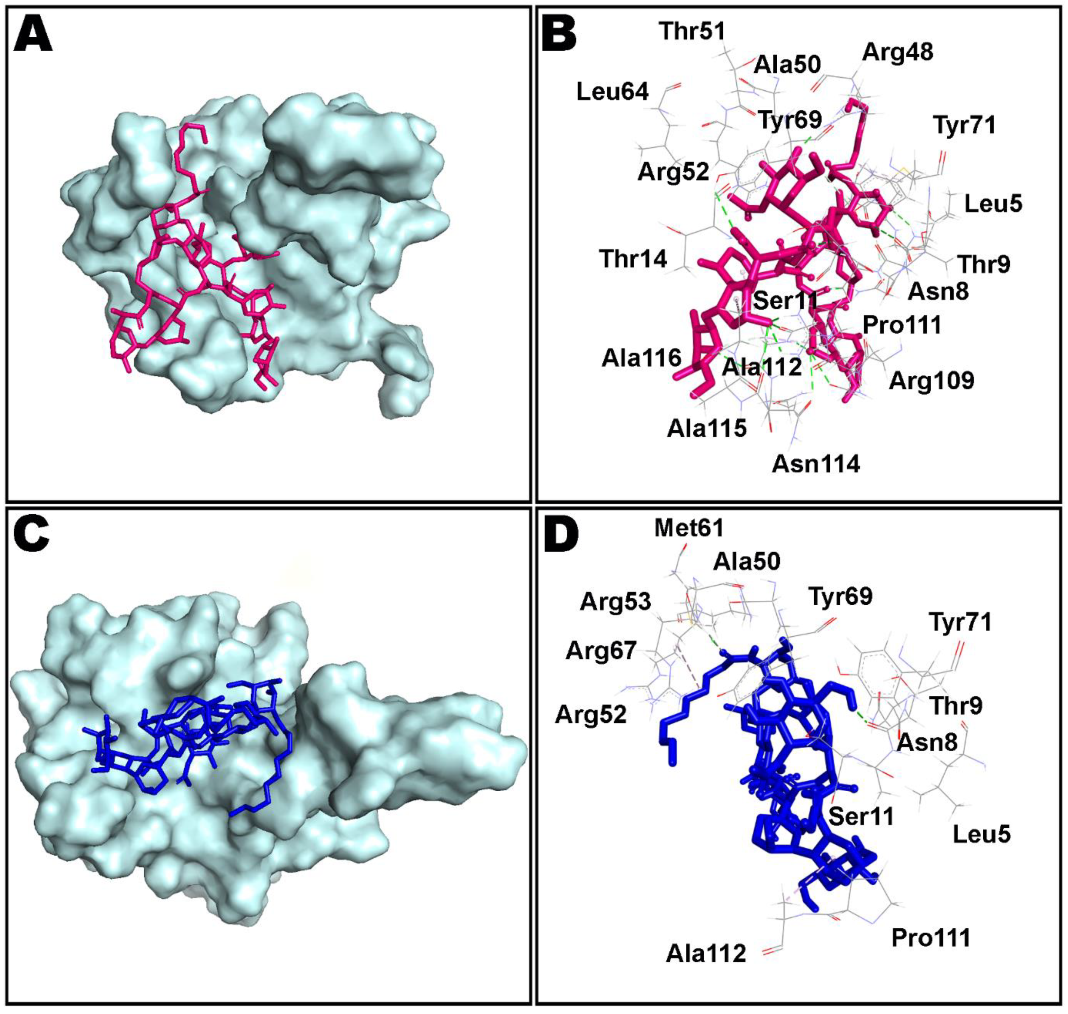Antibiotics 10 00856 g008