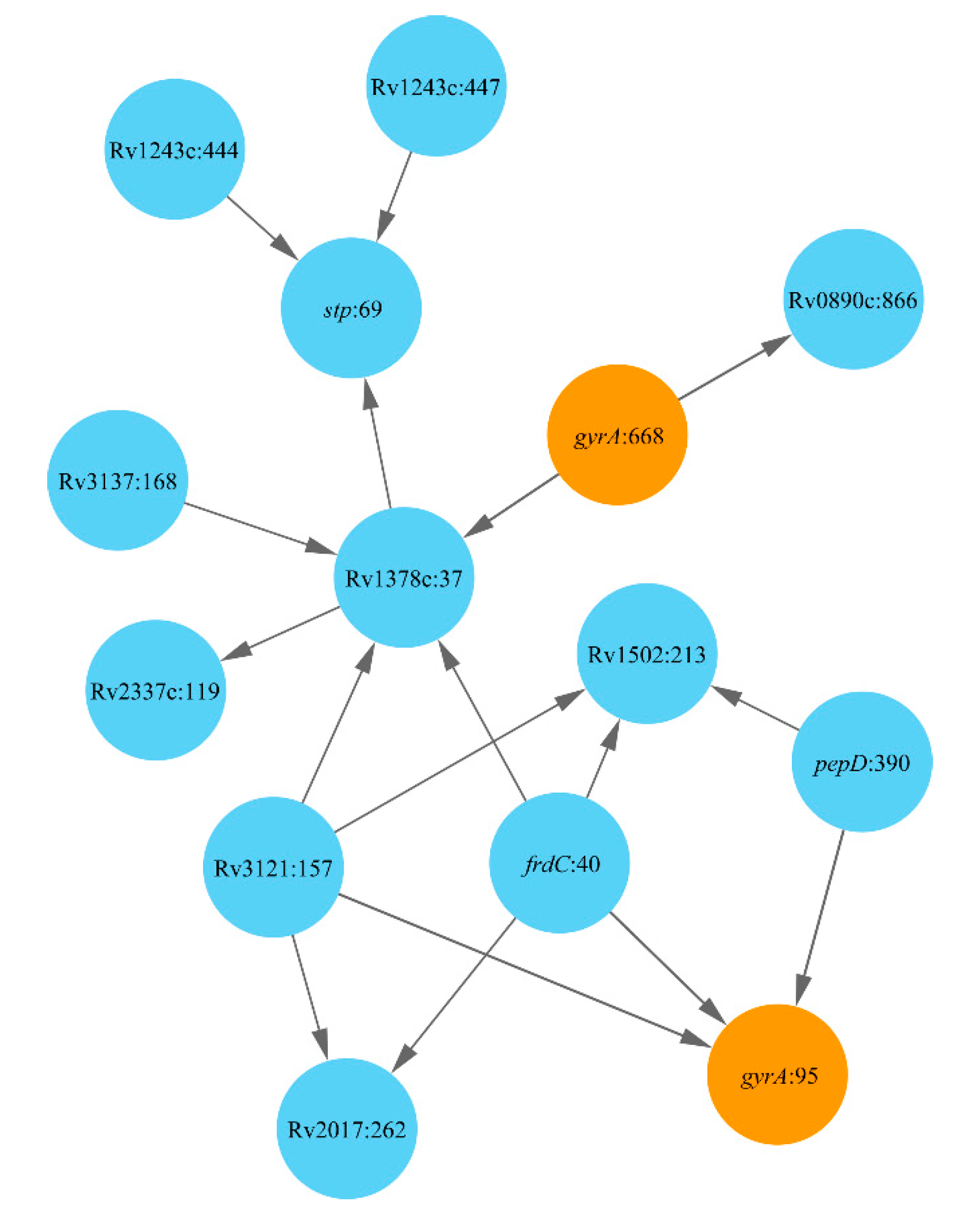 Antibiotics Free Full Text The Epistatic Landscape Of Antibiotic Resistance Of Different Clades Of Mycobacterium Tuberculosis Html