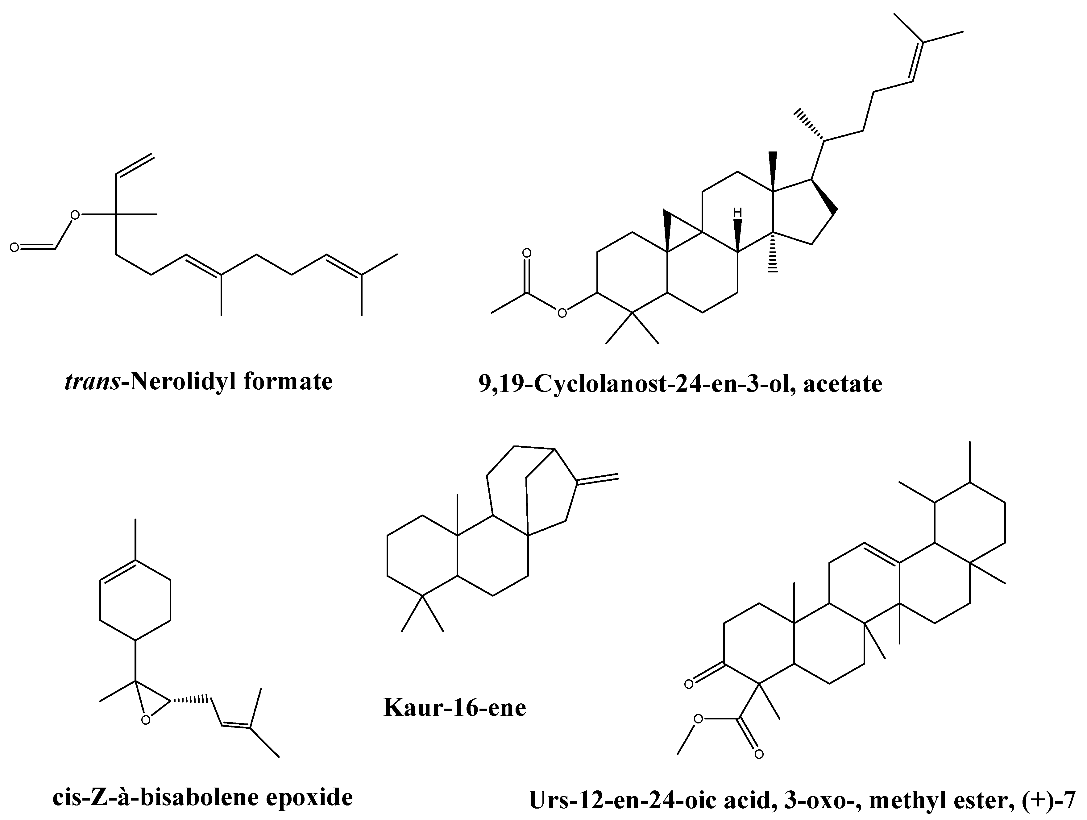 Antibiotics Free Full Text Antibacterial Activity Of Boswellia Sacra Flueck Oleoresin Extract Against Porphyromonas Gingivalis Periodontal Pathogen Html Antibiotics Free Full Text Antibacterial Activity Of Boswellia Sacra Flueck Oleoresin Extract Against Porphyromonas Gingivalis Periodontal Pathogen Html