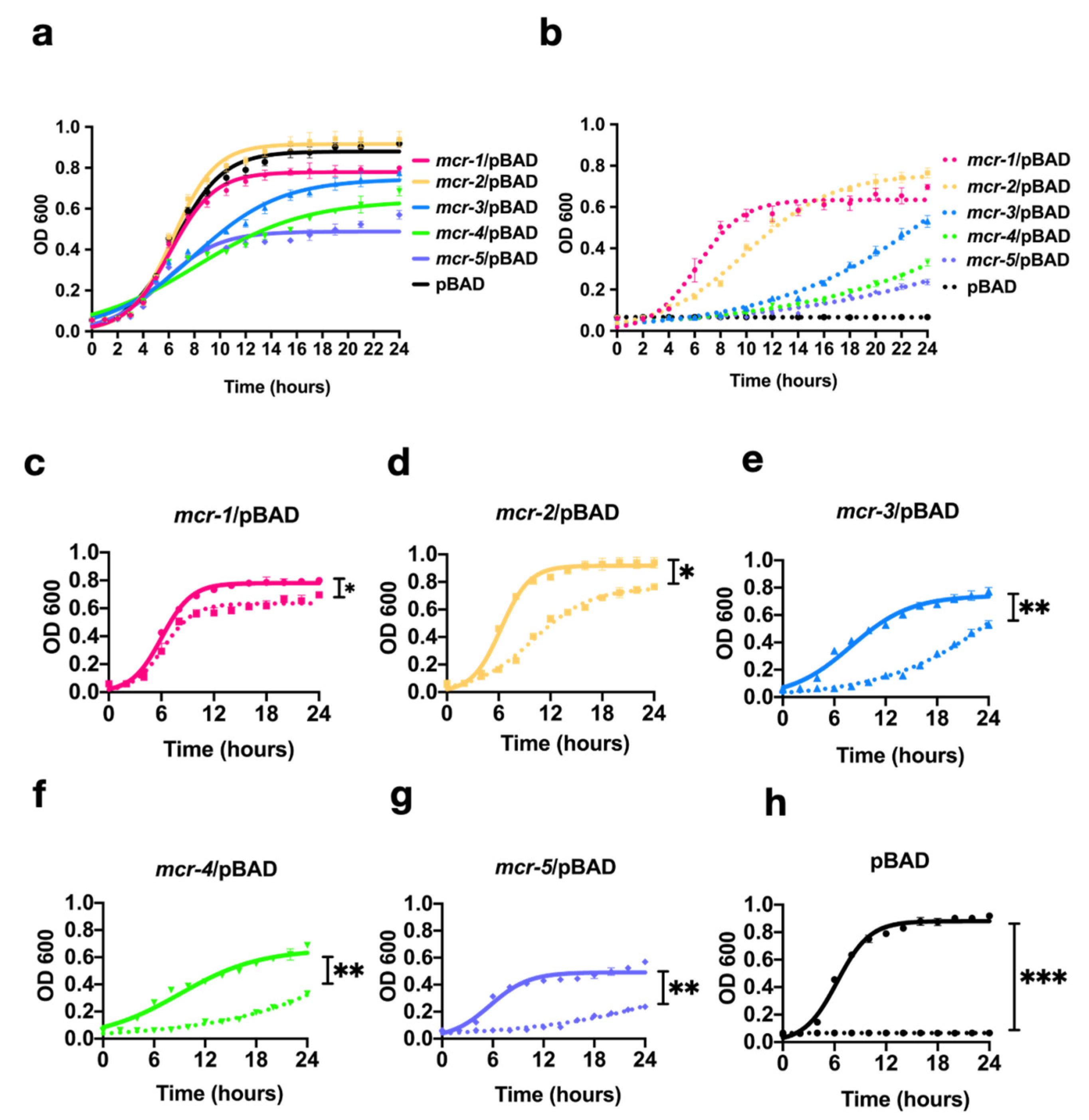 Antibiotics 10 00872 g002