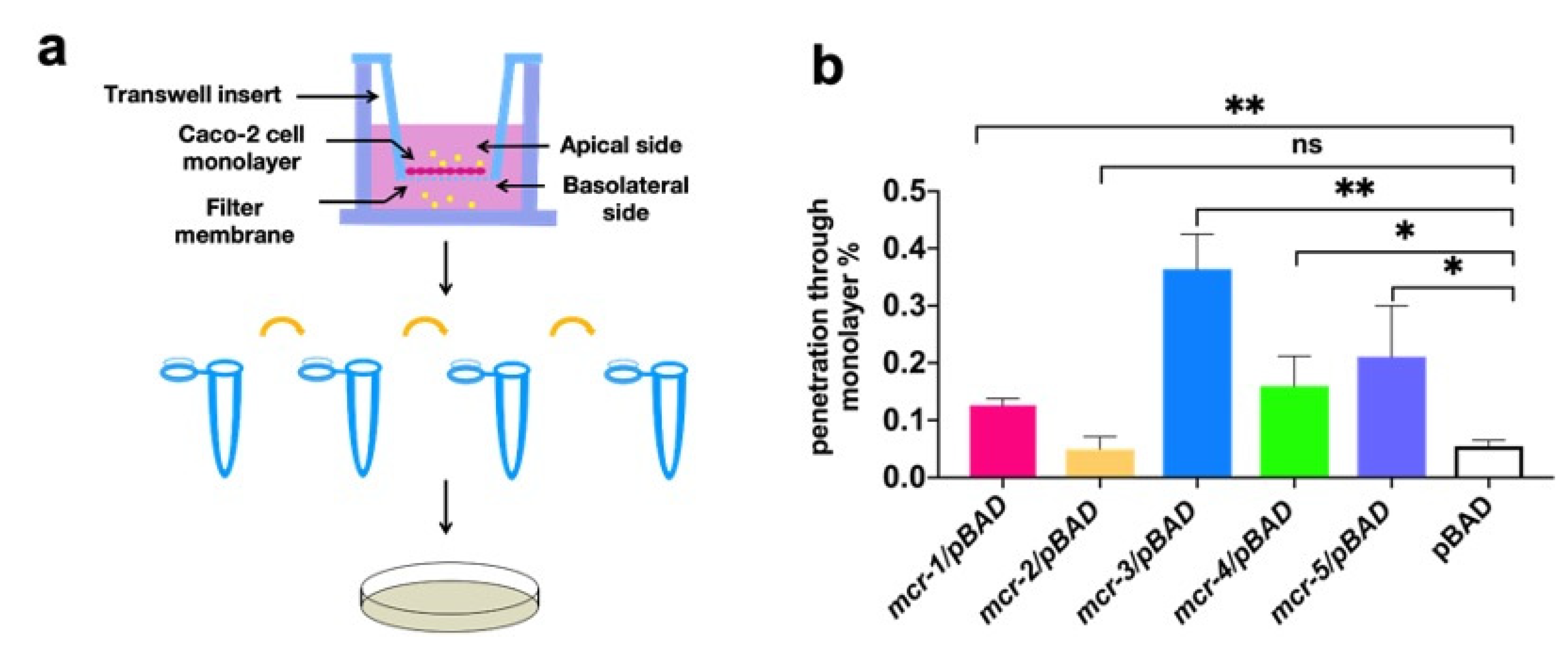 Antibiotics 10 00872 g004