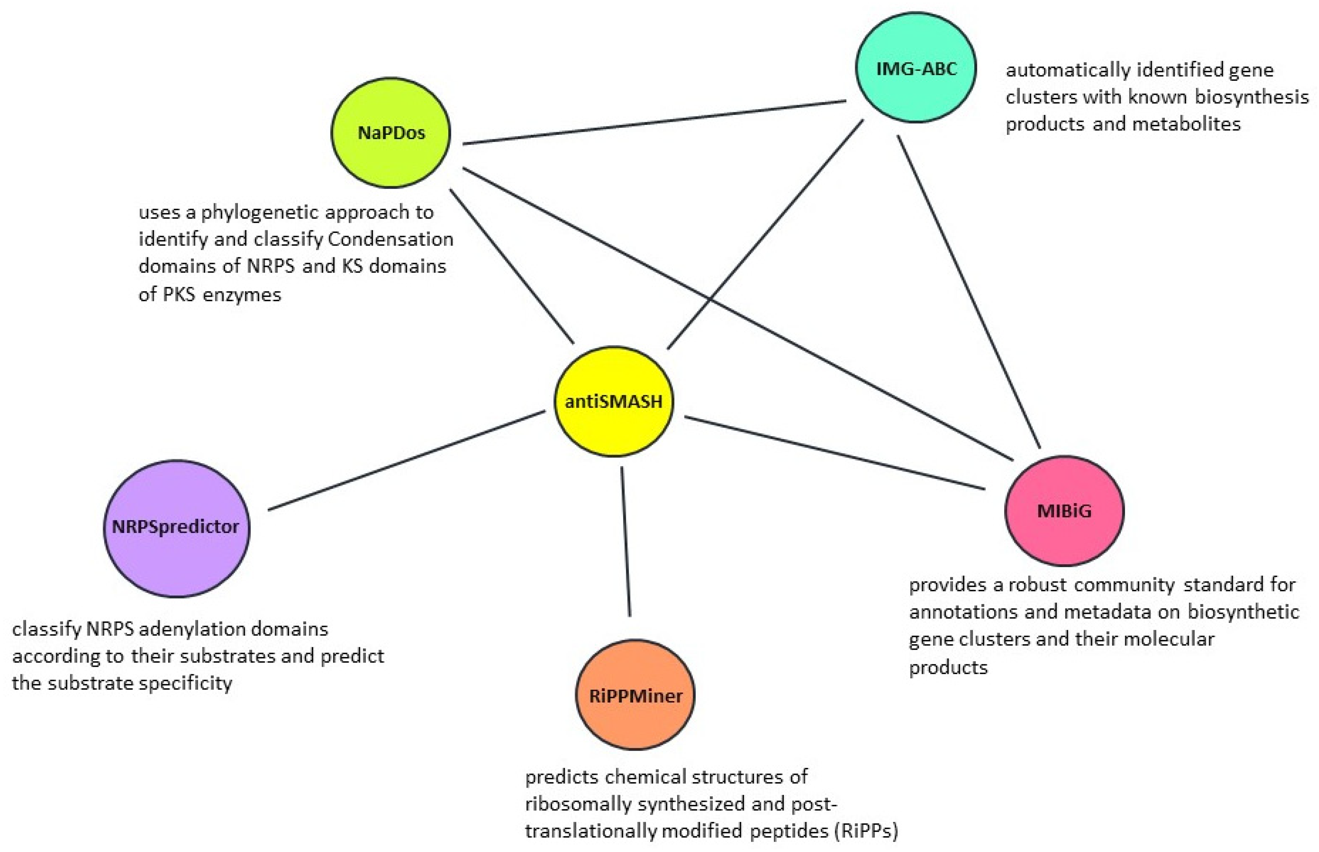 Antibiotics 10 00873 g001