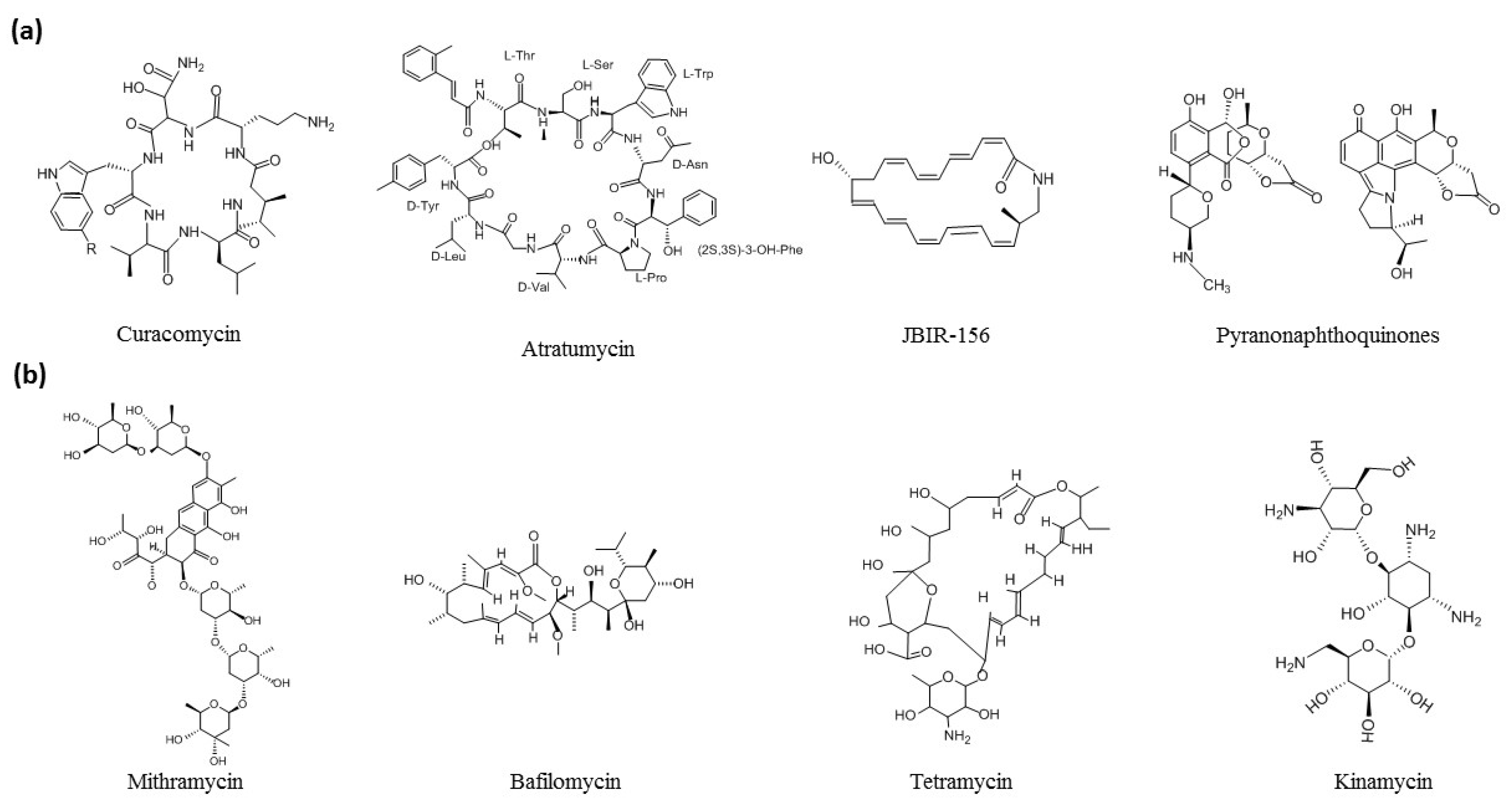 Antibiotics 10 00873 g002