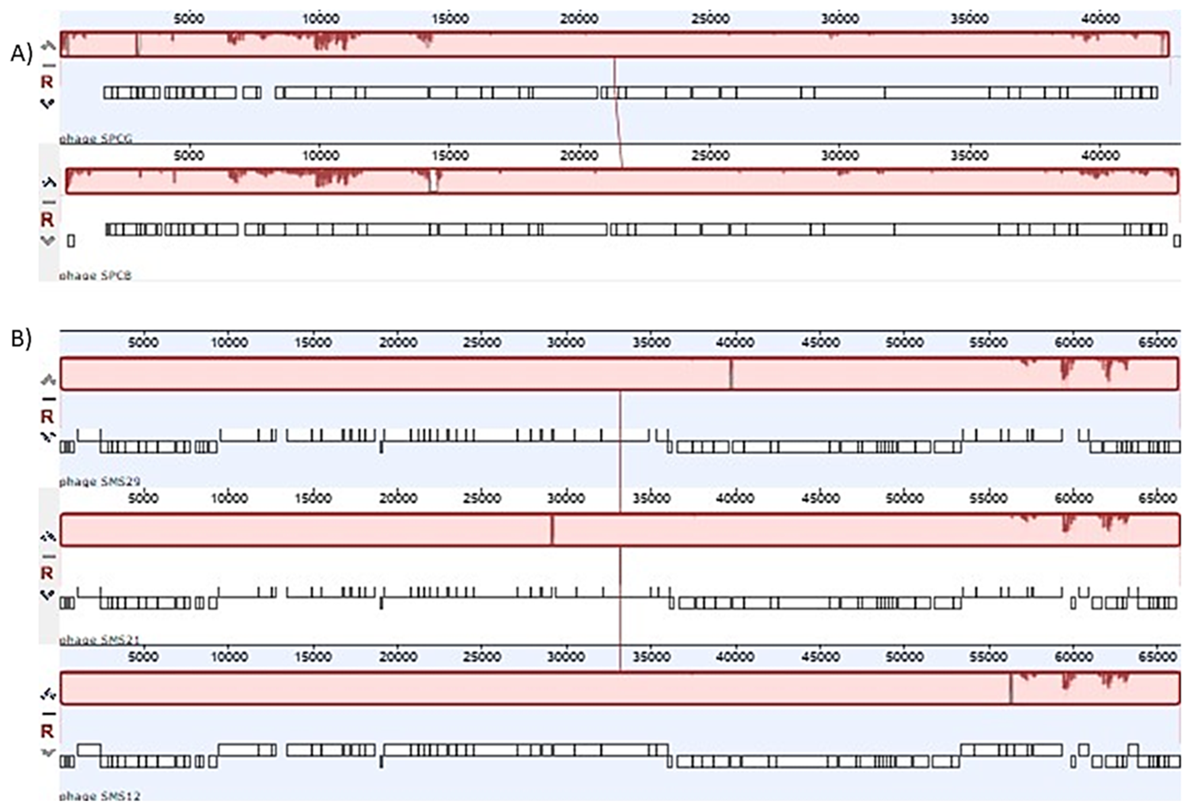 Antibiotics 10 00877 g004