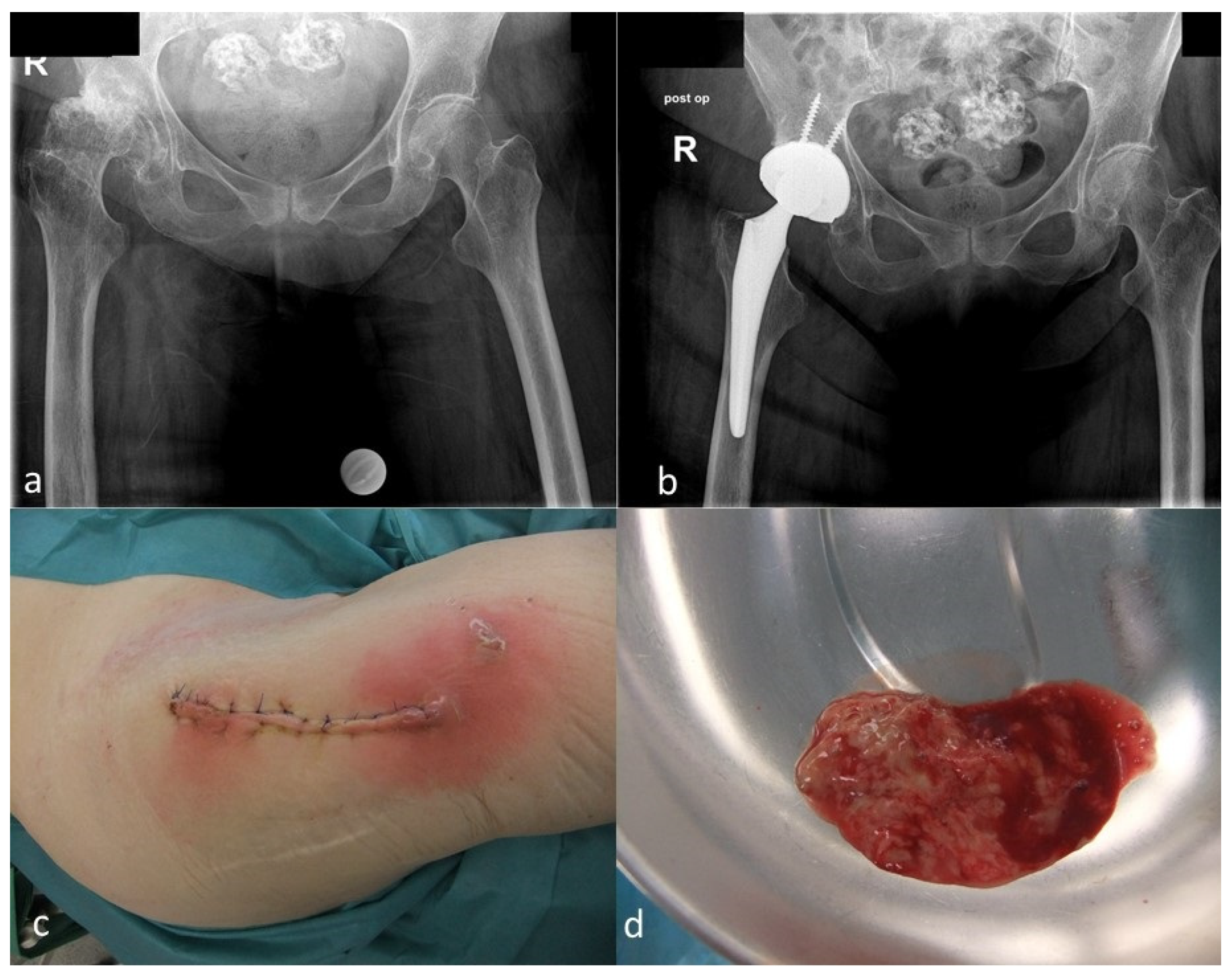 Antibiotics 10 00882 g002