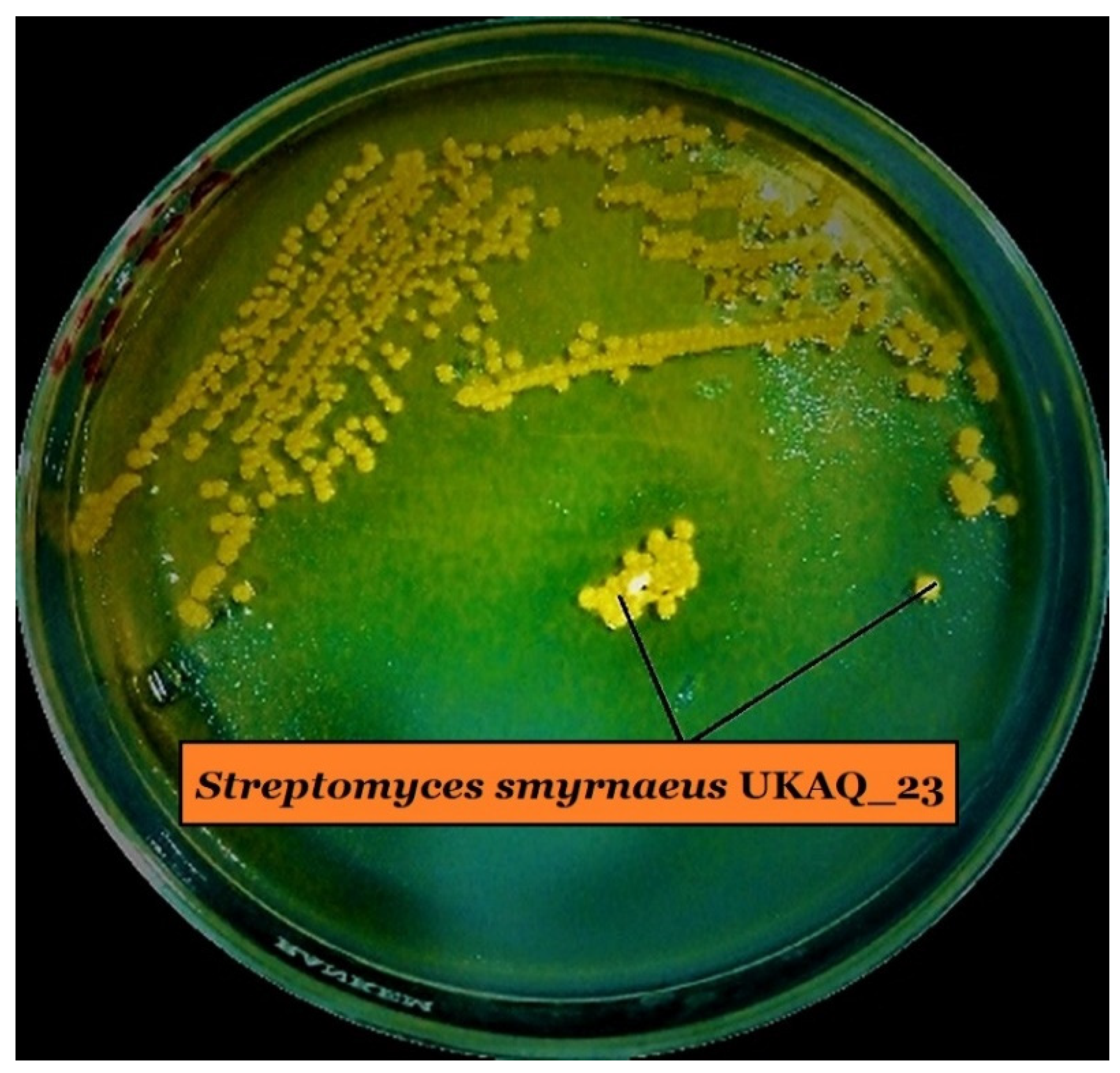 Antibiotics 10 00887 g001 Antibiotics 10 00887 g001