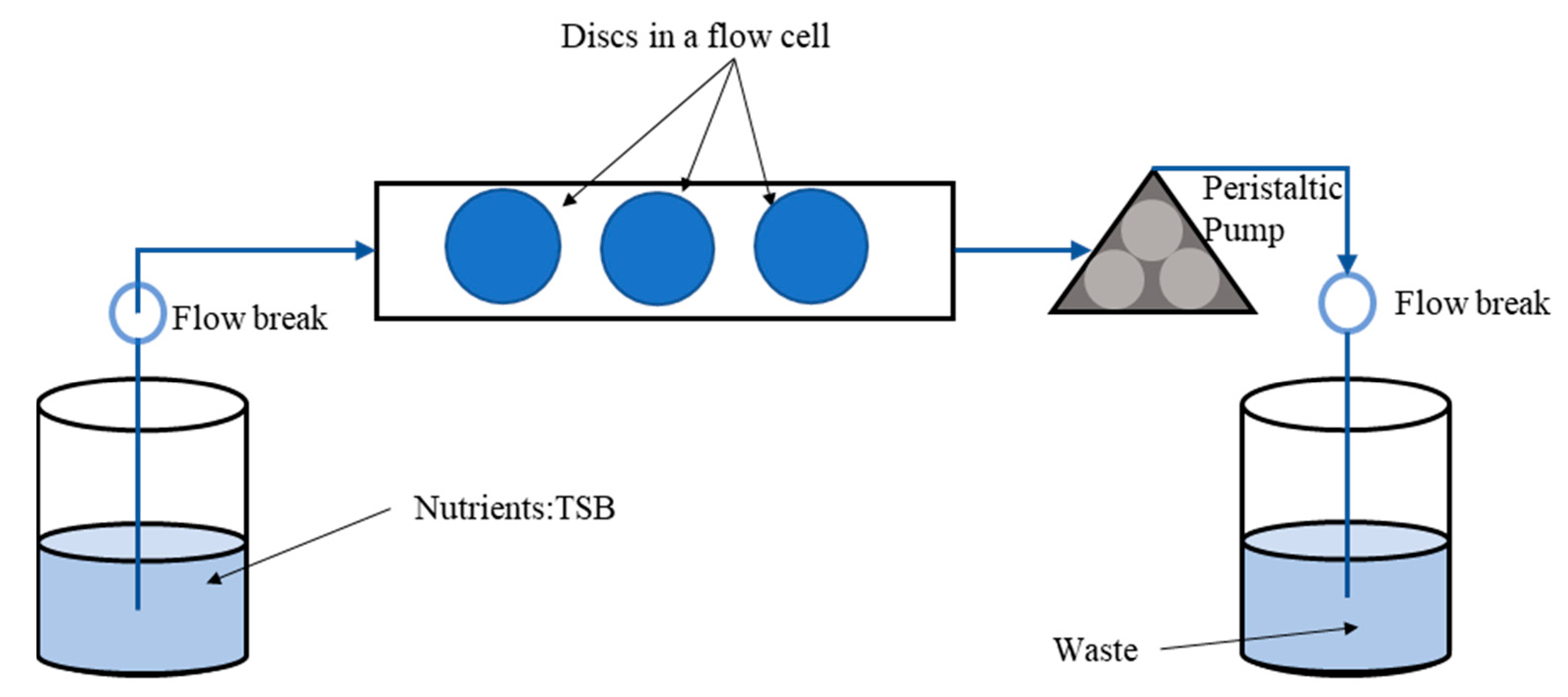 Antibiotics 10 00889 g001