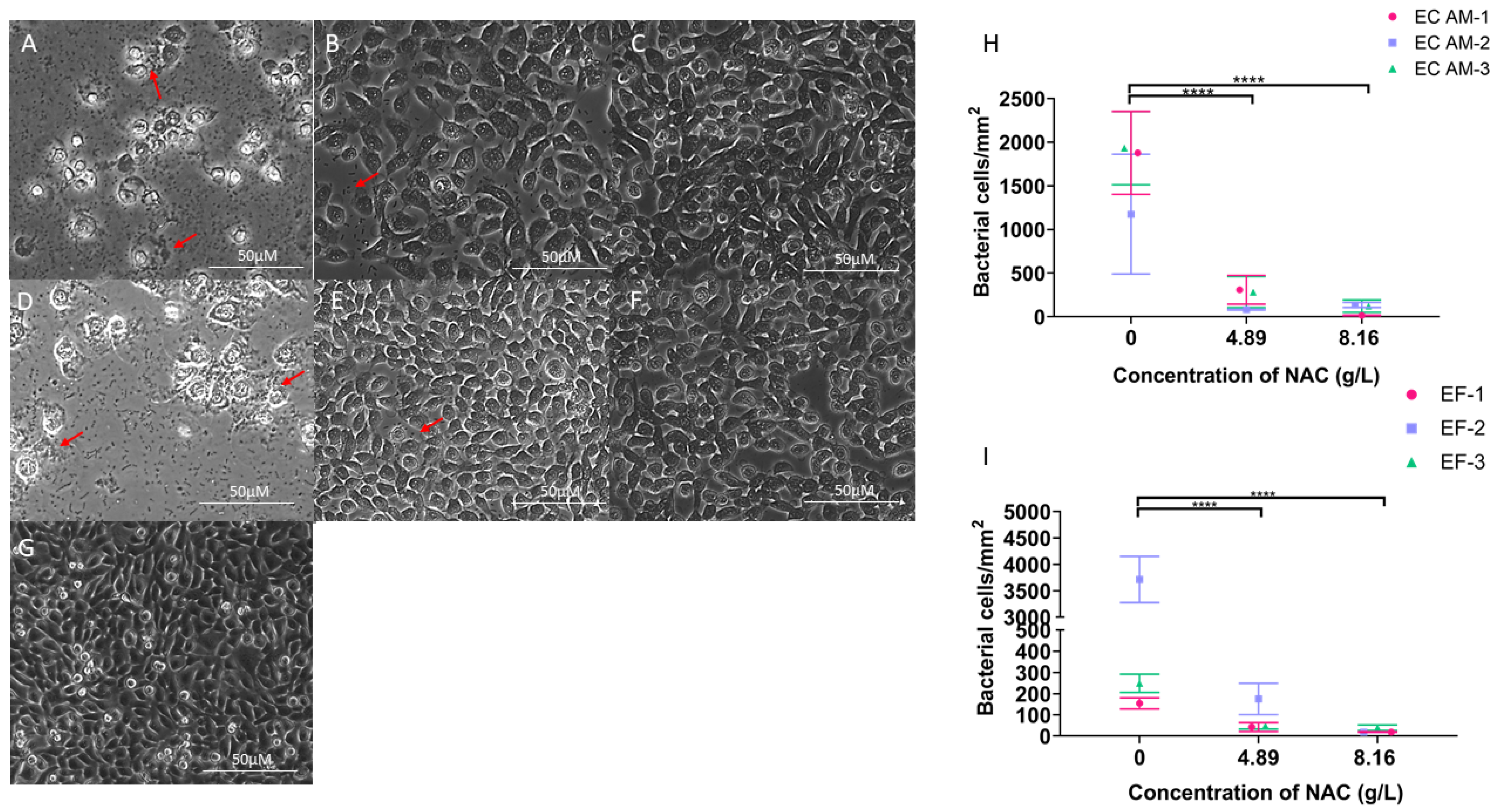 Antibiotics 10 00900 g002 Antibiotics 10 00900 g002