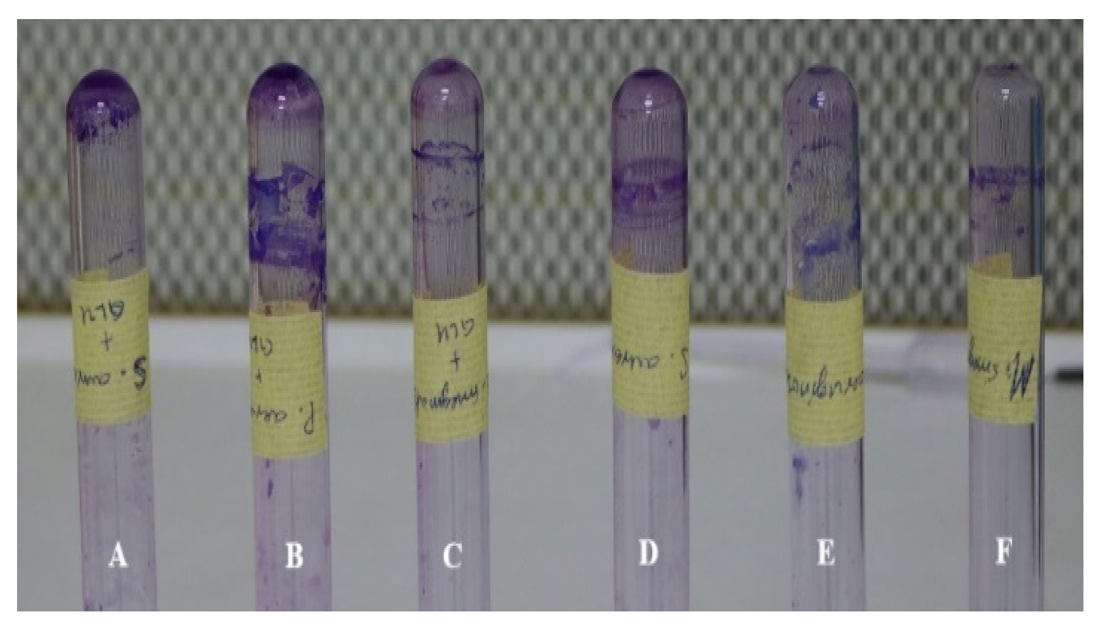Antibiotics 10 00902 g005