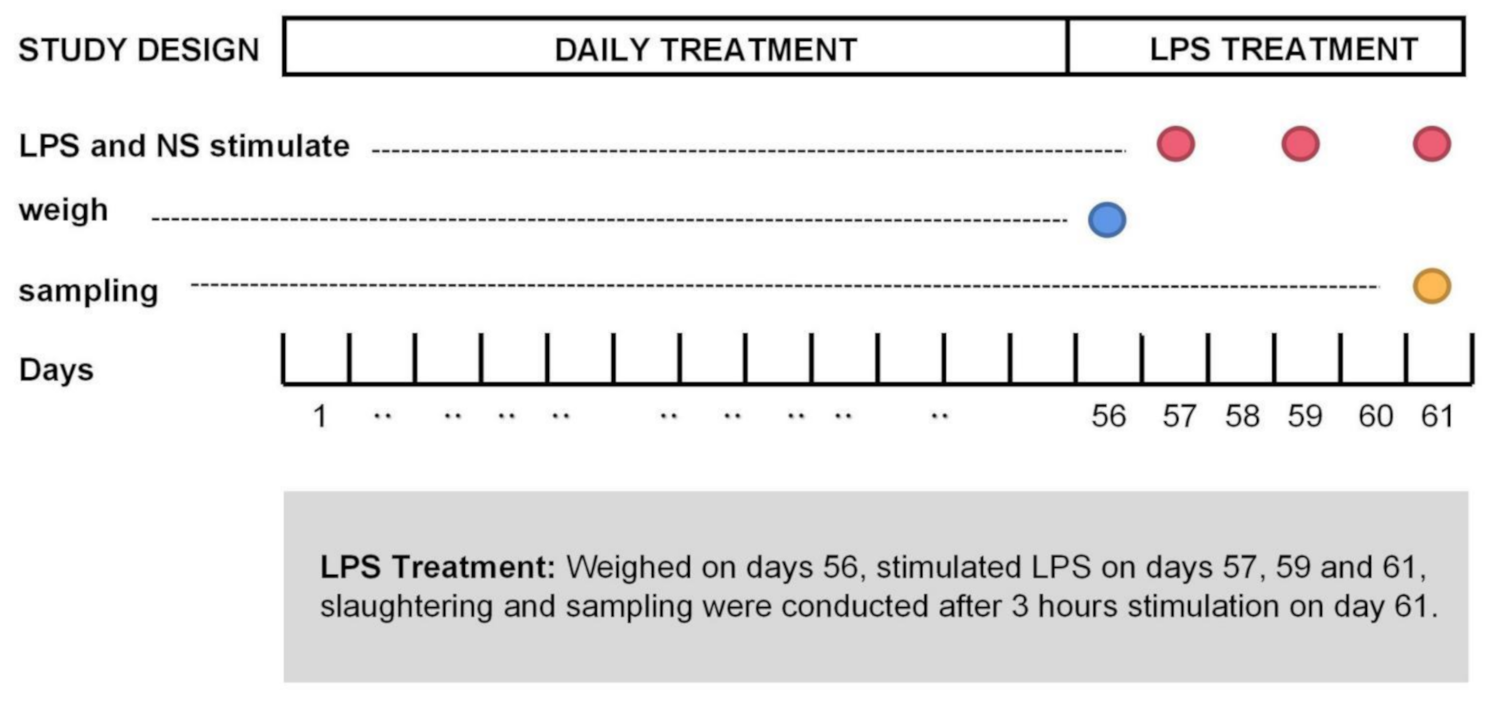 Antibiotics 10 00905 g006 550