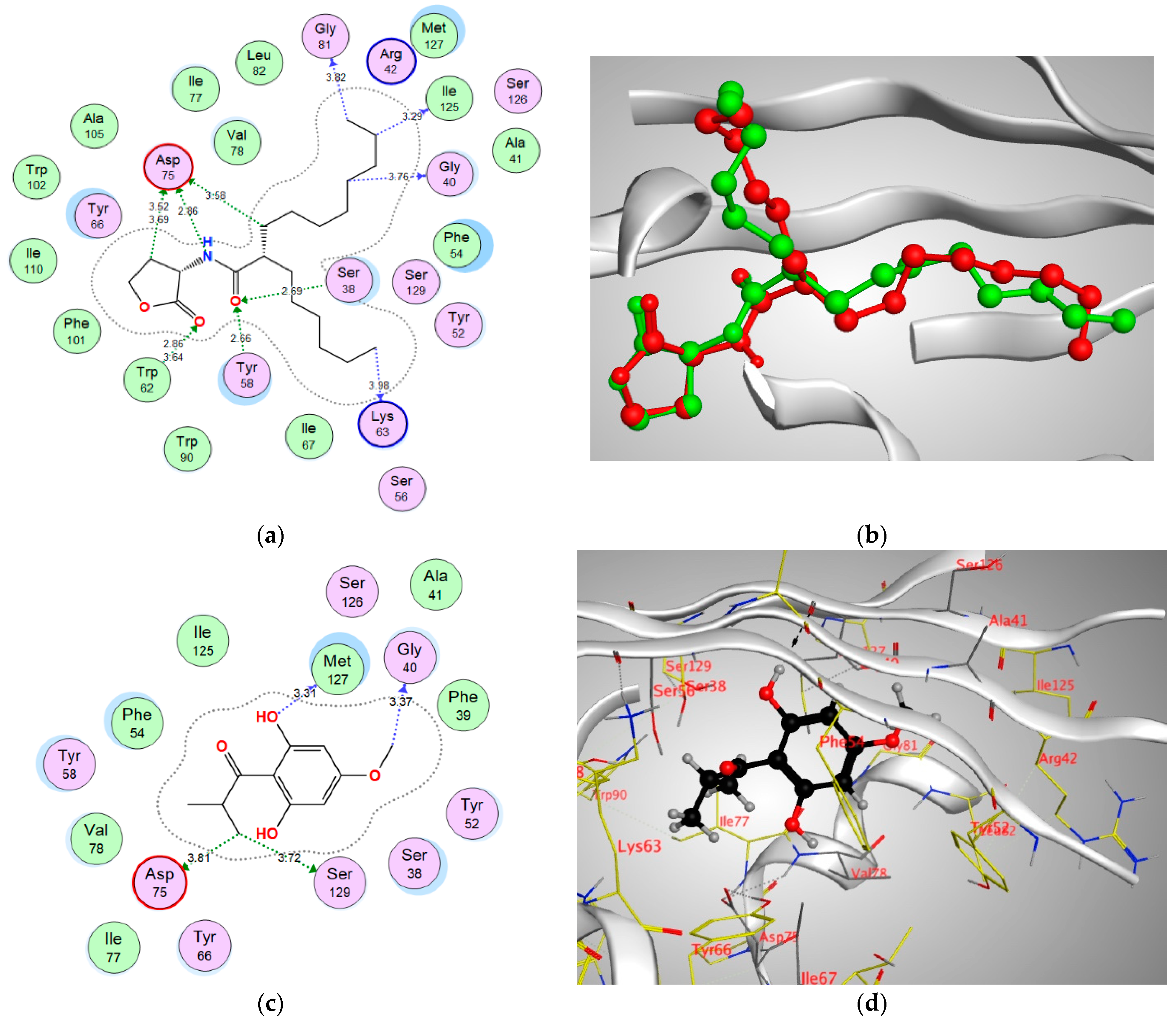 Antibiotics 10 00907 g007