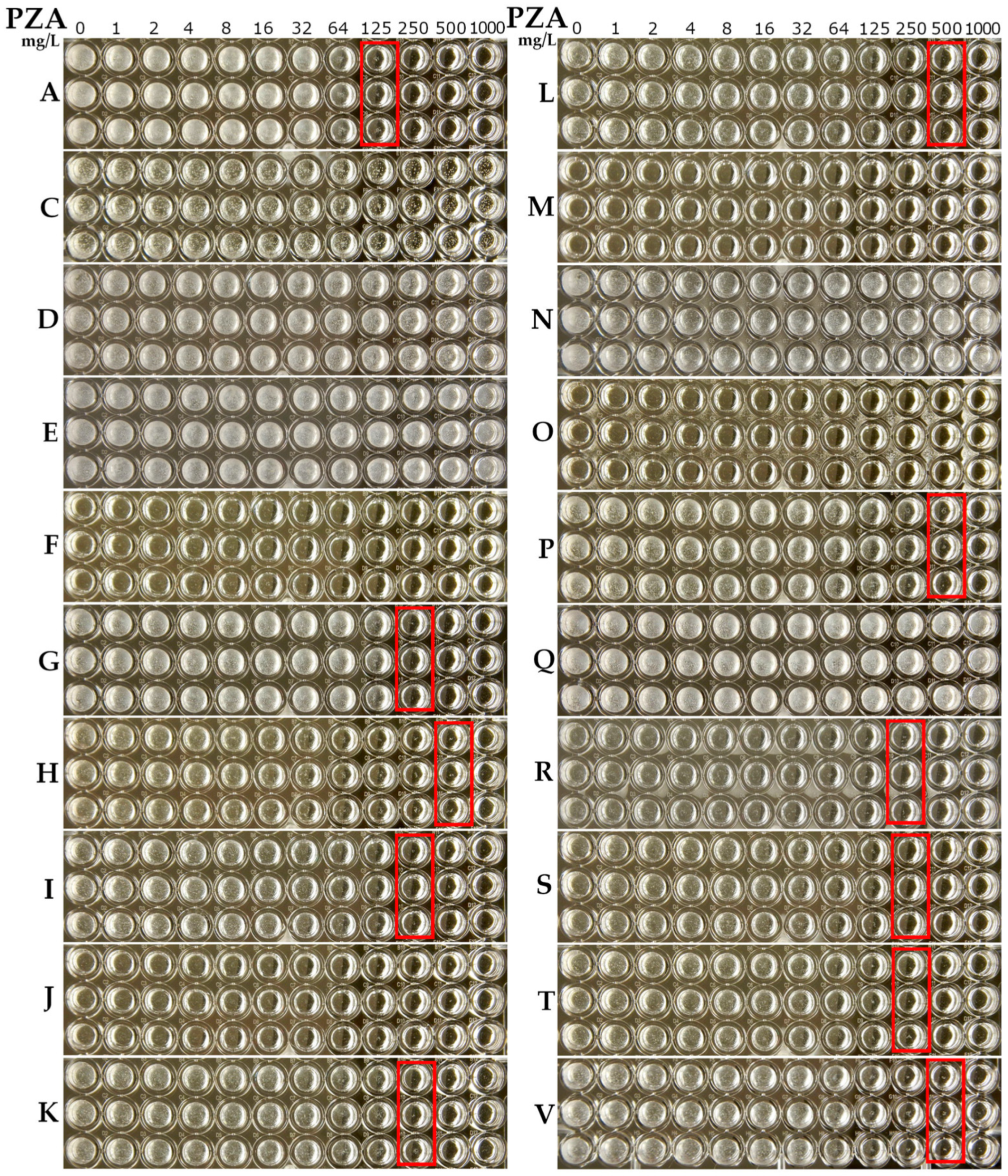 Antibiotics 10 00909 g001 Antibiotics 10 00909 g001