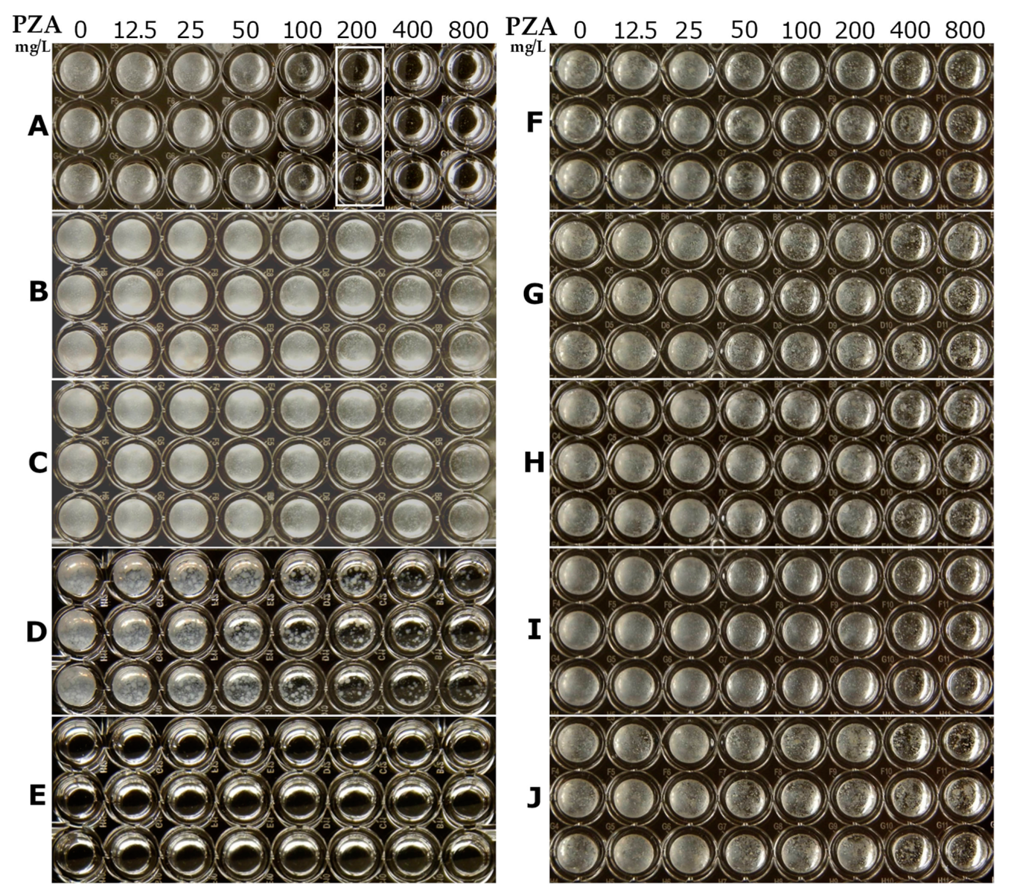 Antibiotics 10 00909 g002 Antibiotics 10 00909 g002