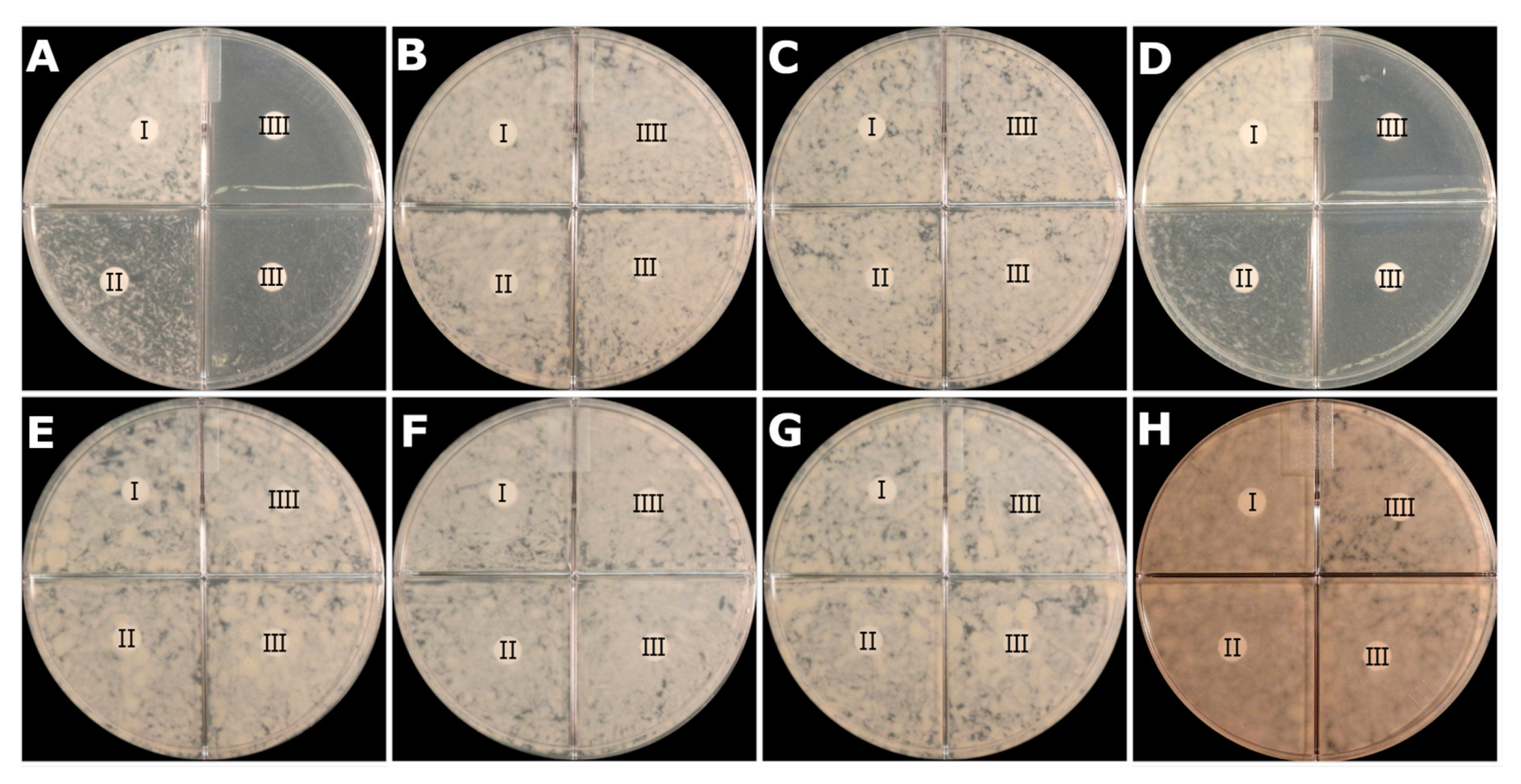 Antibiotics 10 00909 g004 Antibiotics 10 00909 g004