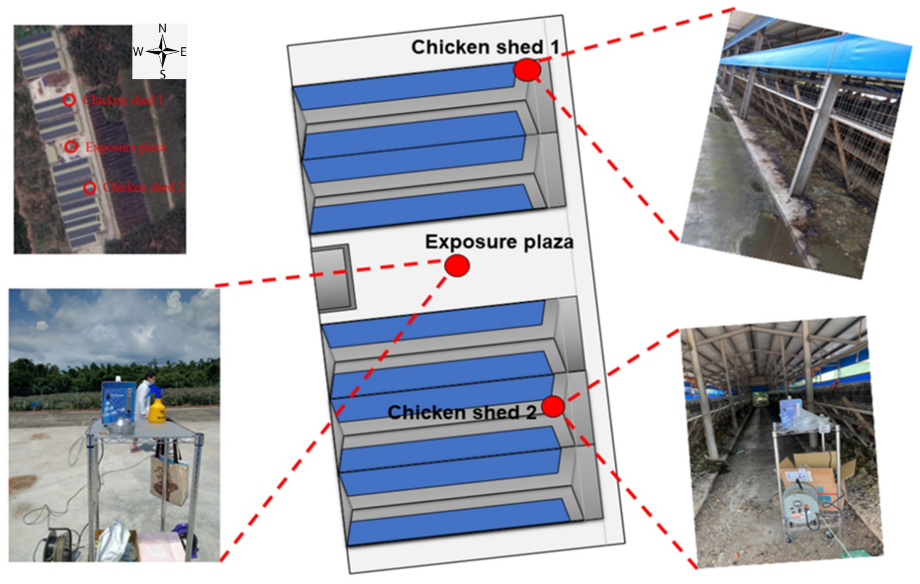 Antibiotics 10 00917 g002 Antibiotics 10 00917 g002